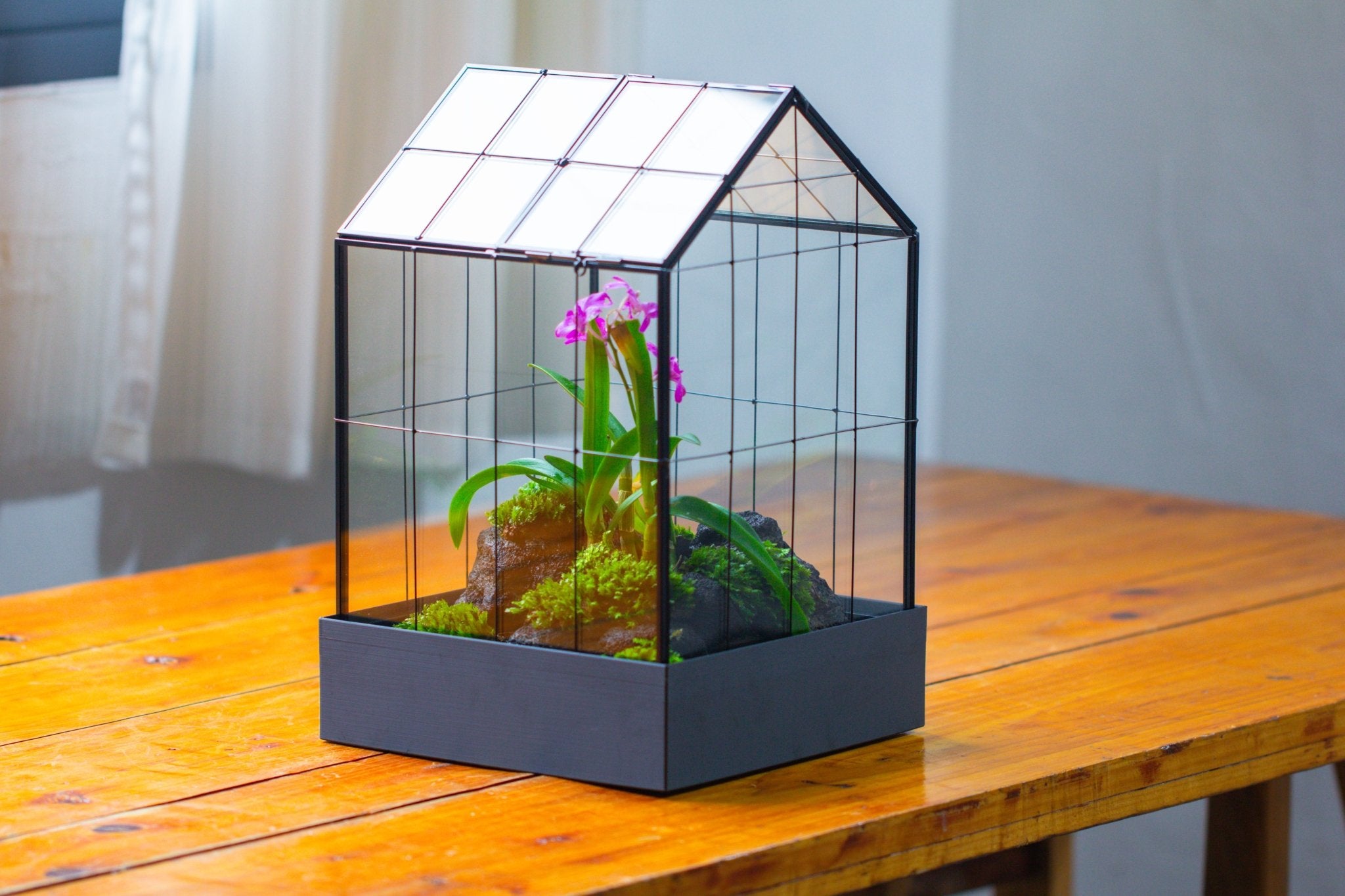 11” Vintage Greenhouse Glass Terrarium with Water - Holding Tray and Top Door - NCYPgarden