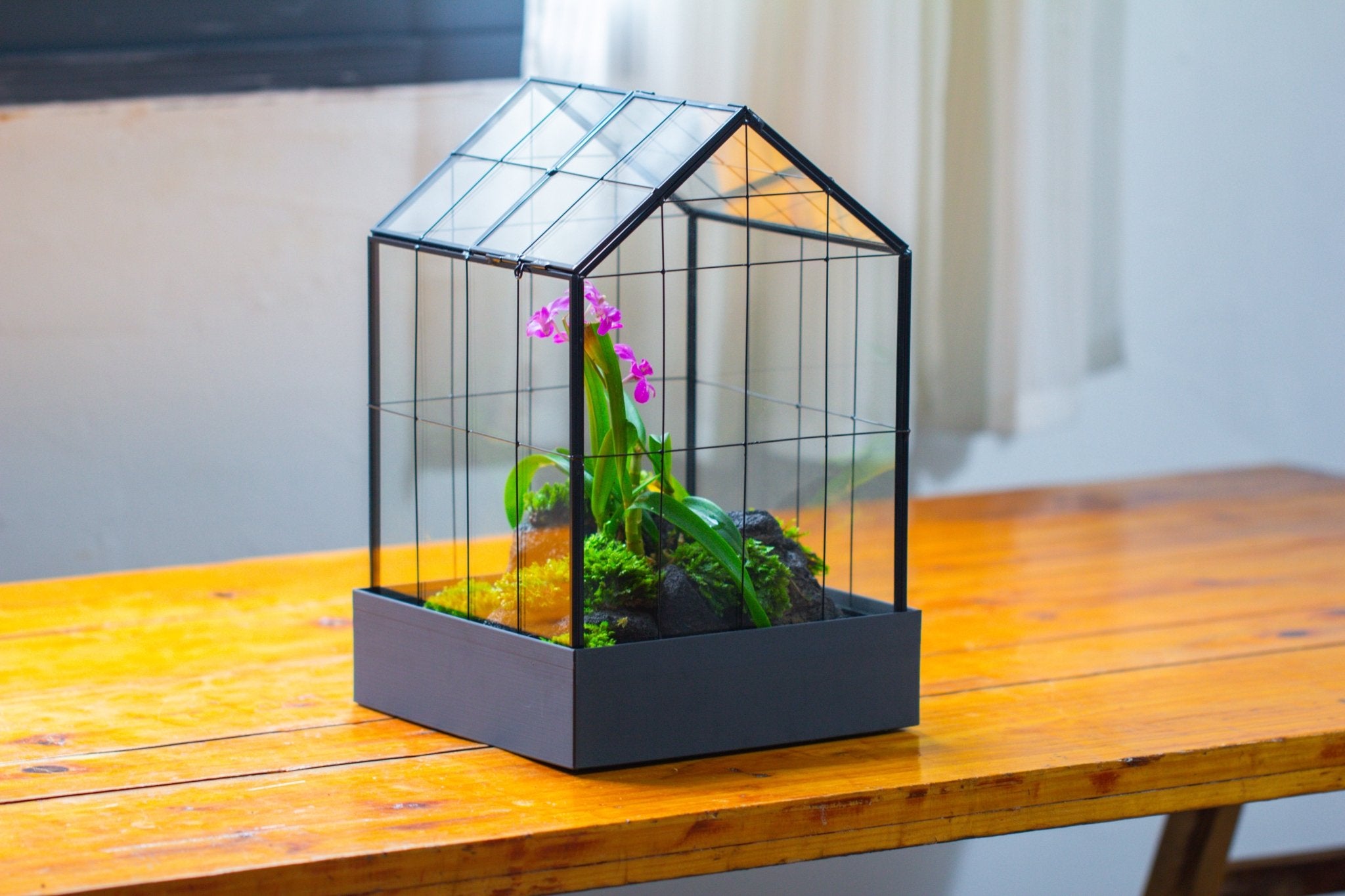 11” Vintage Greenhouse Glass Terrarium with Water - Holding Tray and Top Door - NCYPgarden