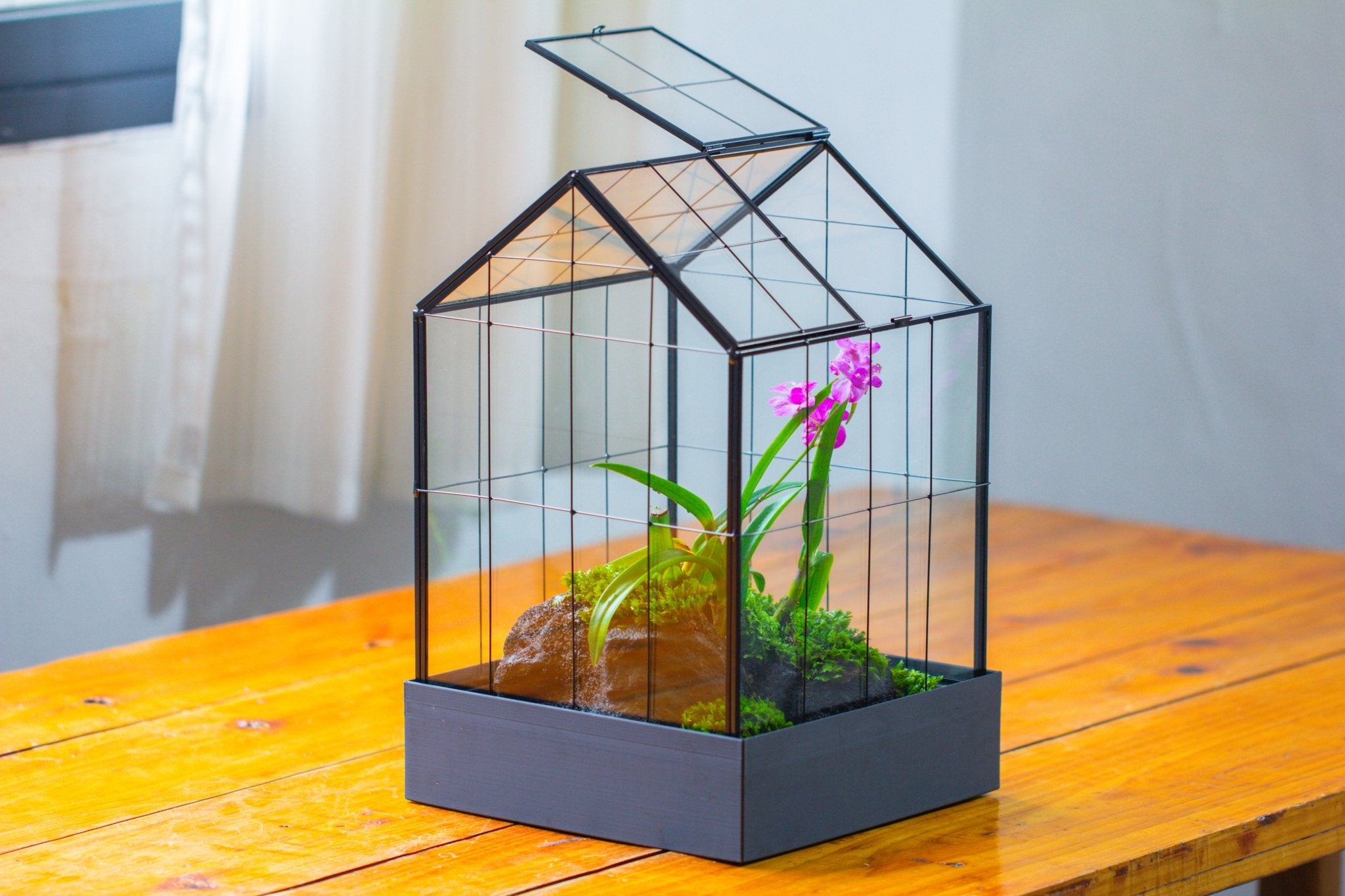 11” Vintage Greenhouse Glass Terrarium with Water - Holding Tray and Top Door - NCYPgarden