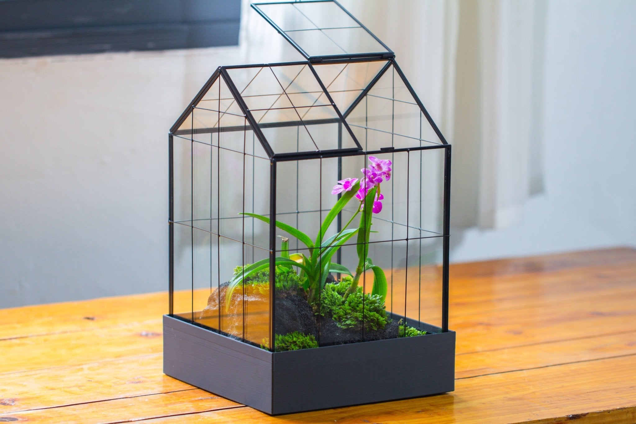 11” Vintage Greenhouse Glass Terrarium with Water - Holding Tray and Top Door - NCYPgarden