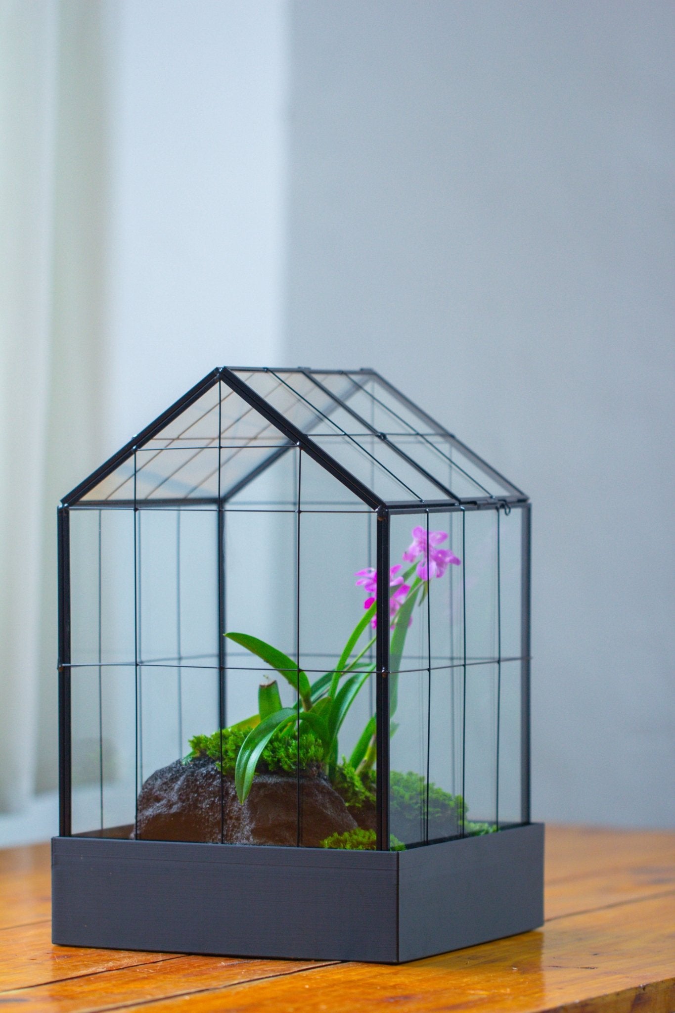 11” Vintage Greenhouse Glass Terrarium with Water - Holding Tray and Top Door - NCYPgarden