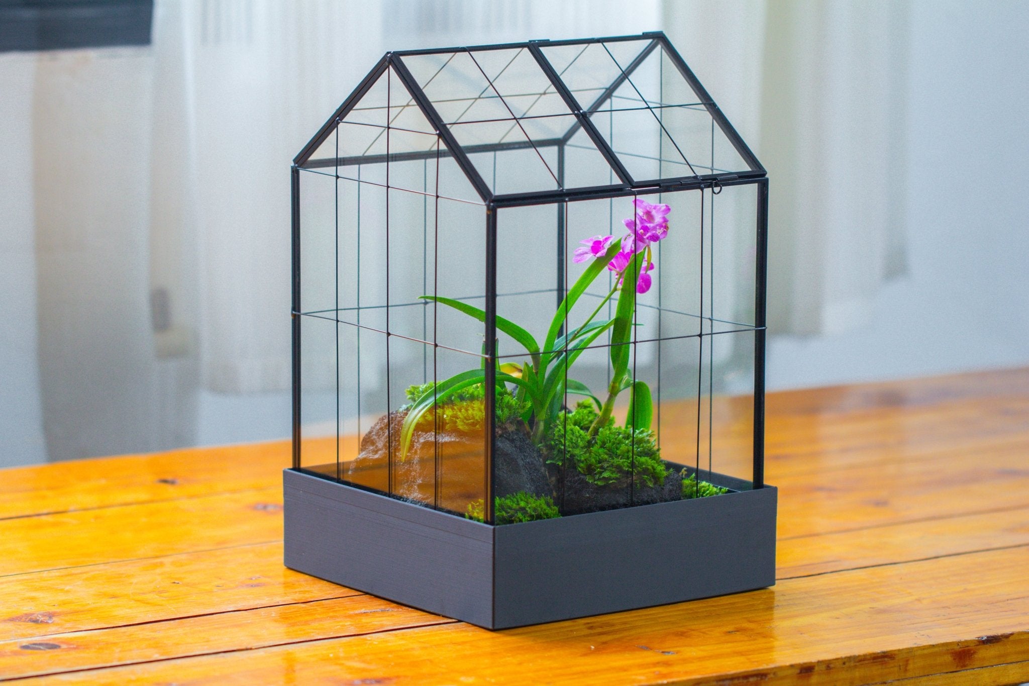 11” Vintage Greenhouse Glass Terrarium with Water - Holding Tray and Top Door - NCYPgarden