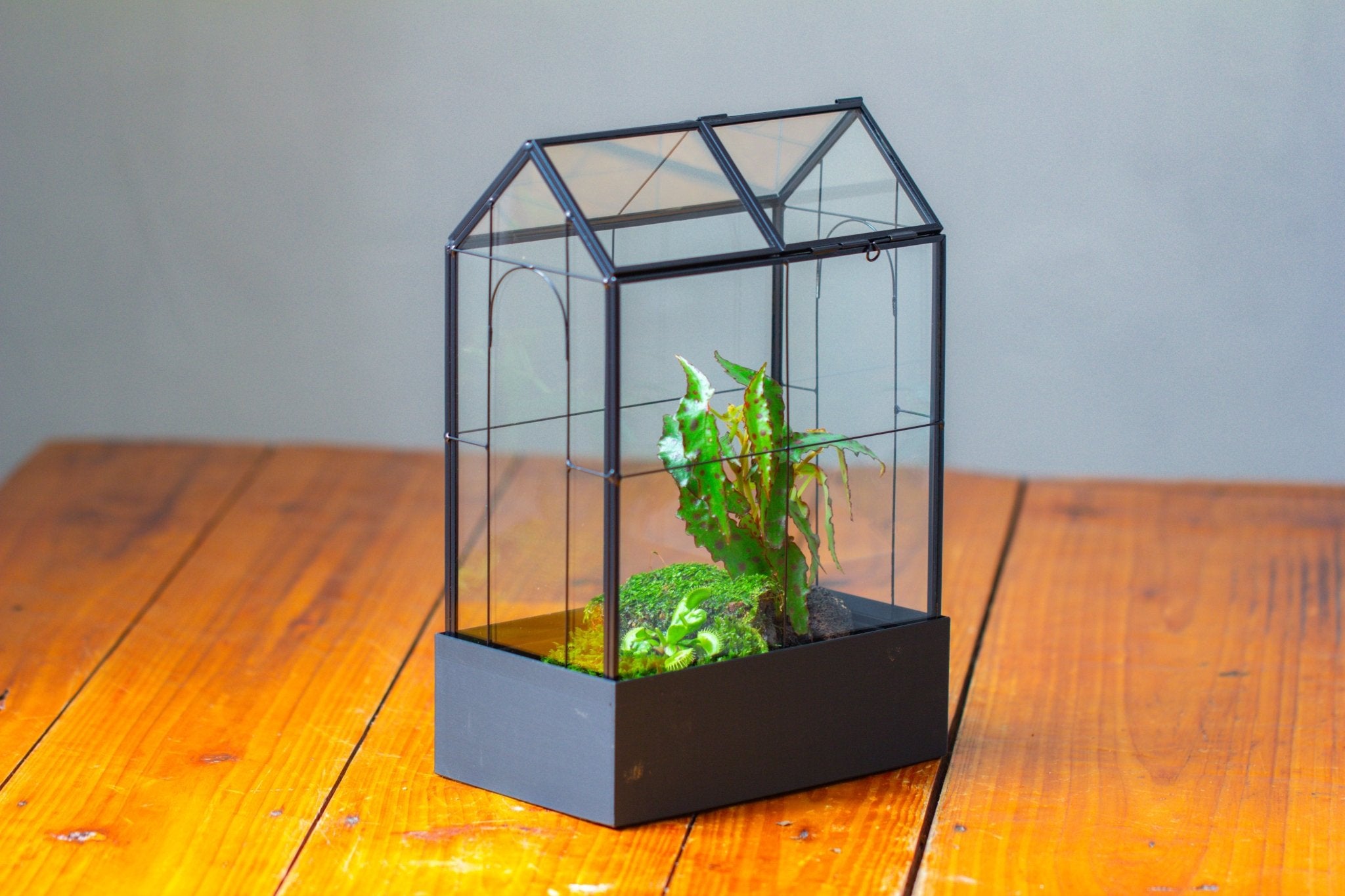 11" Tall Vintage Greenhouse Glass Terrarium with Water - Holding Base and Top Door - NCYPgarden