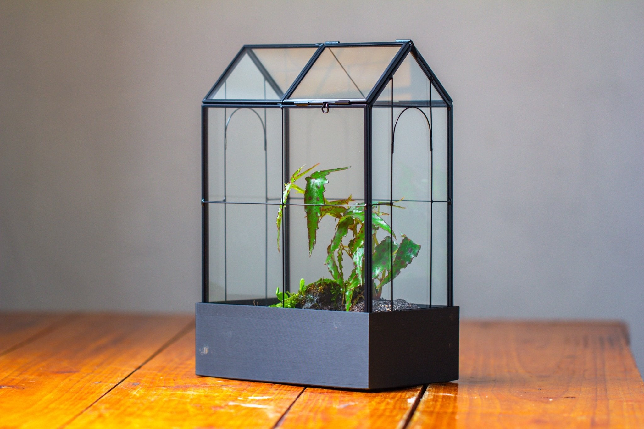 11" Tall Vintage Greenhouse Glass Terrarium with Water - Holding Base and Top Door - NCYPgarden