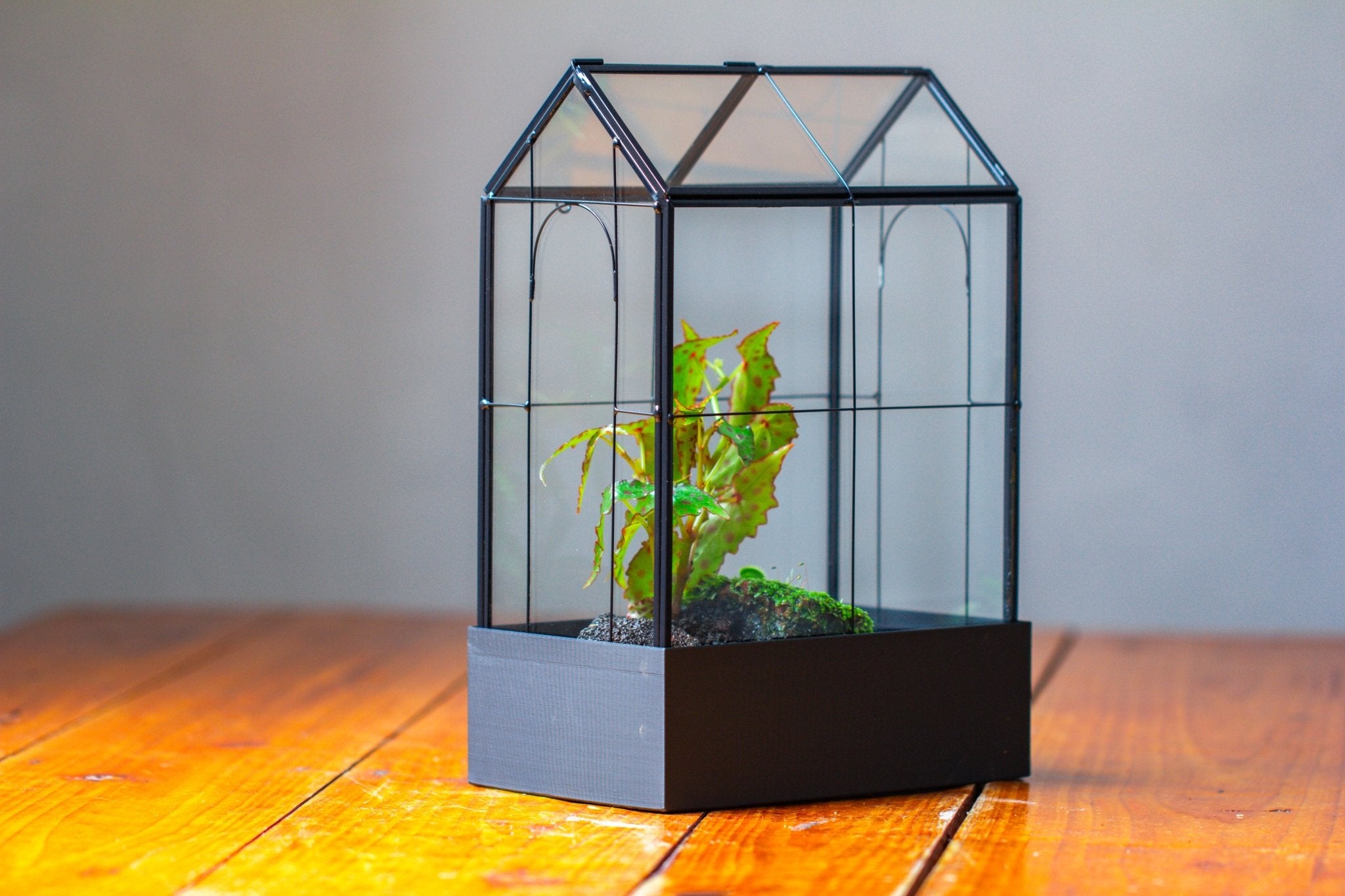 11" Tall Vintage Greenhouse Glass Terrarium with Water - Holding Base and Top Door - NCYPgarden