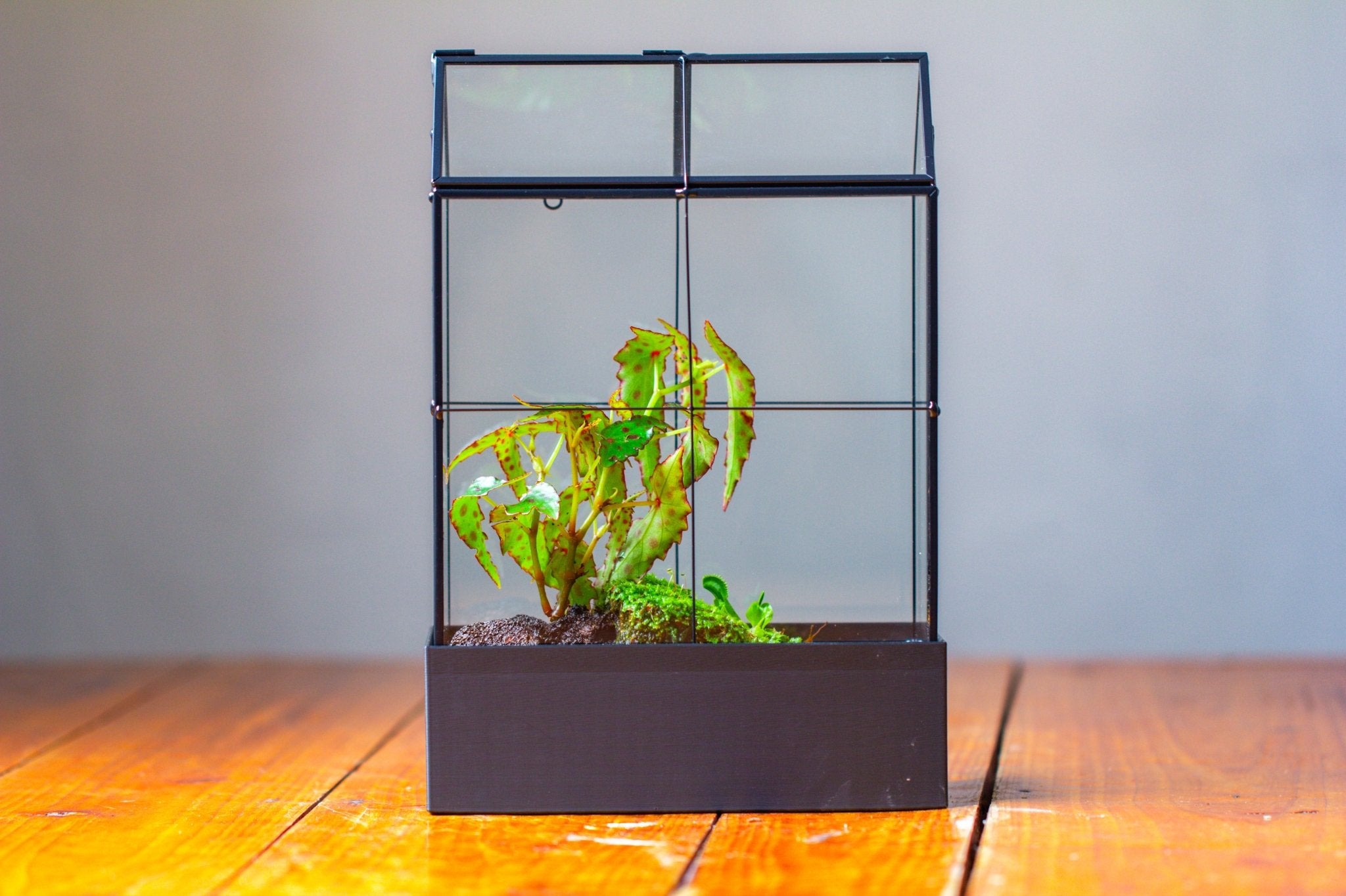11" Tall Vintage Greenhouse Glass Terrarium with Water - Holding Base and Top Door - NCYPgarden