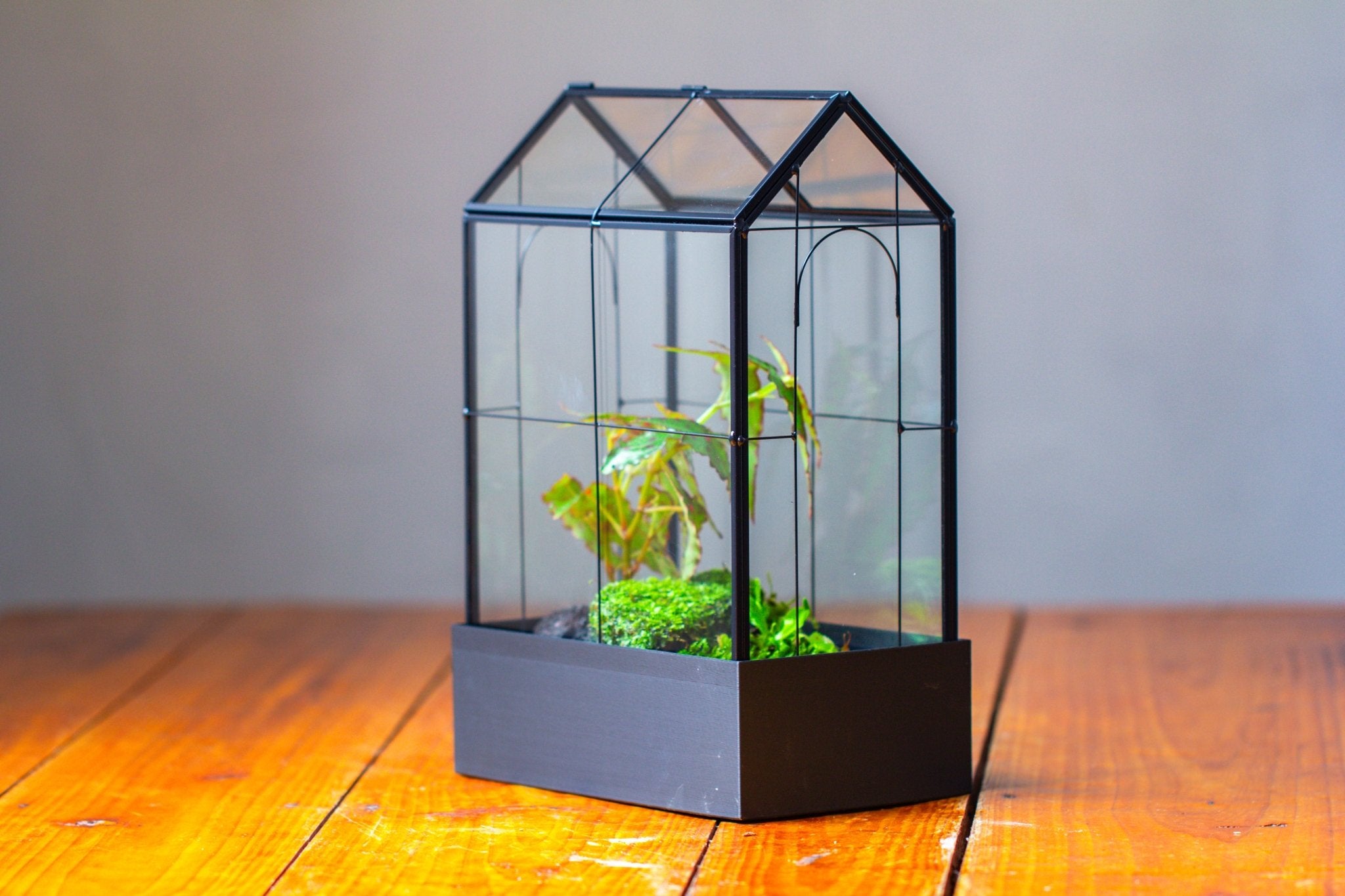 11" Tall Vintage Greenhouse Glass Terrarium with Water - Holding Base and Top Door - NCYPgarden