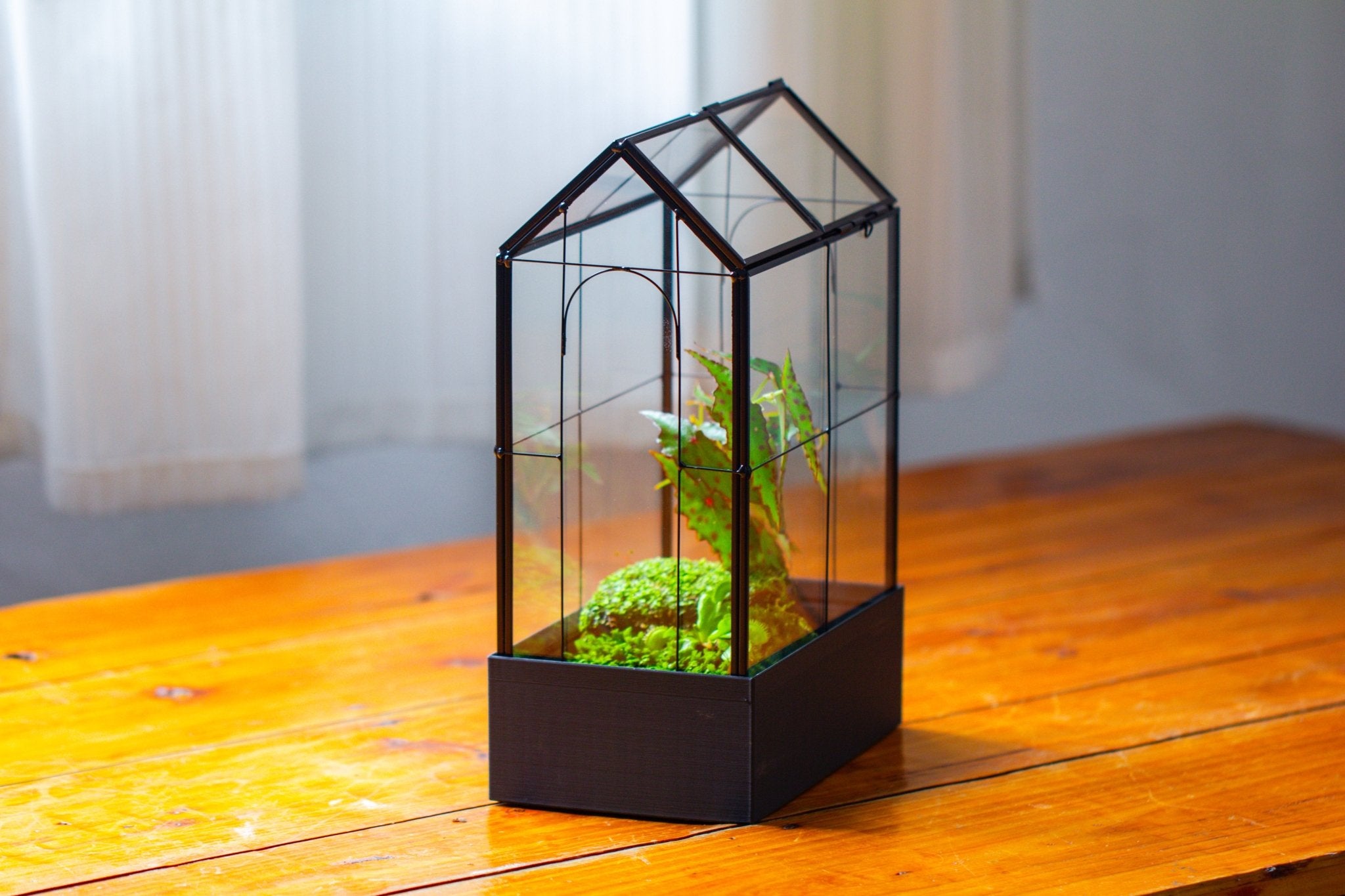 11" Tall Vintage Greenhouse Glass Terrarium with Water - Holding Base and Top Door - NCYPgarden