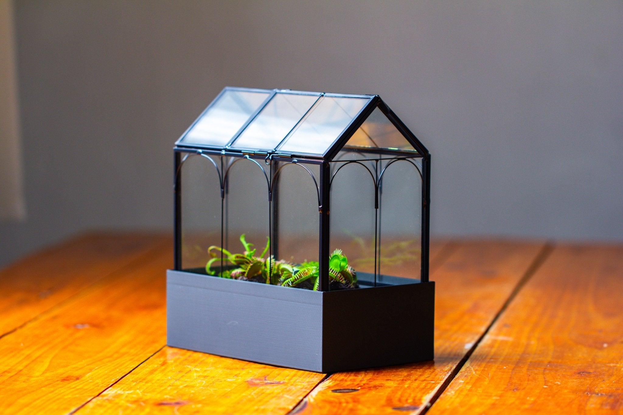 8" Vintage Greenhouse Glass Terrarium with Water - Holding Base and Top Door - NCYPgarden