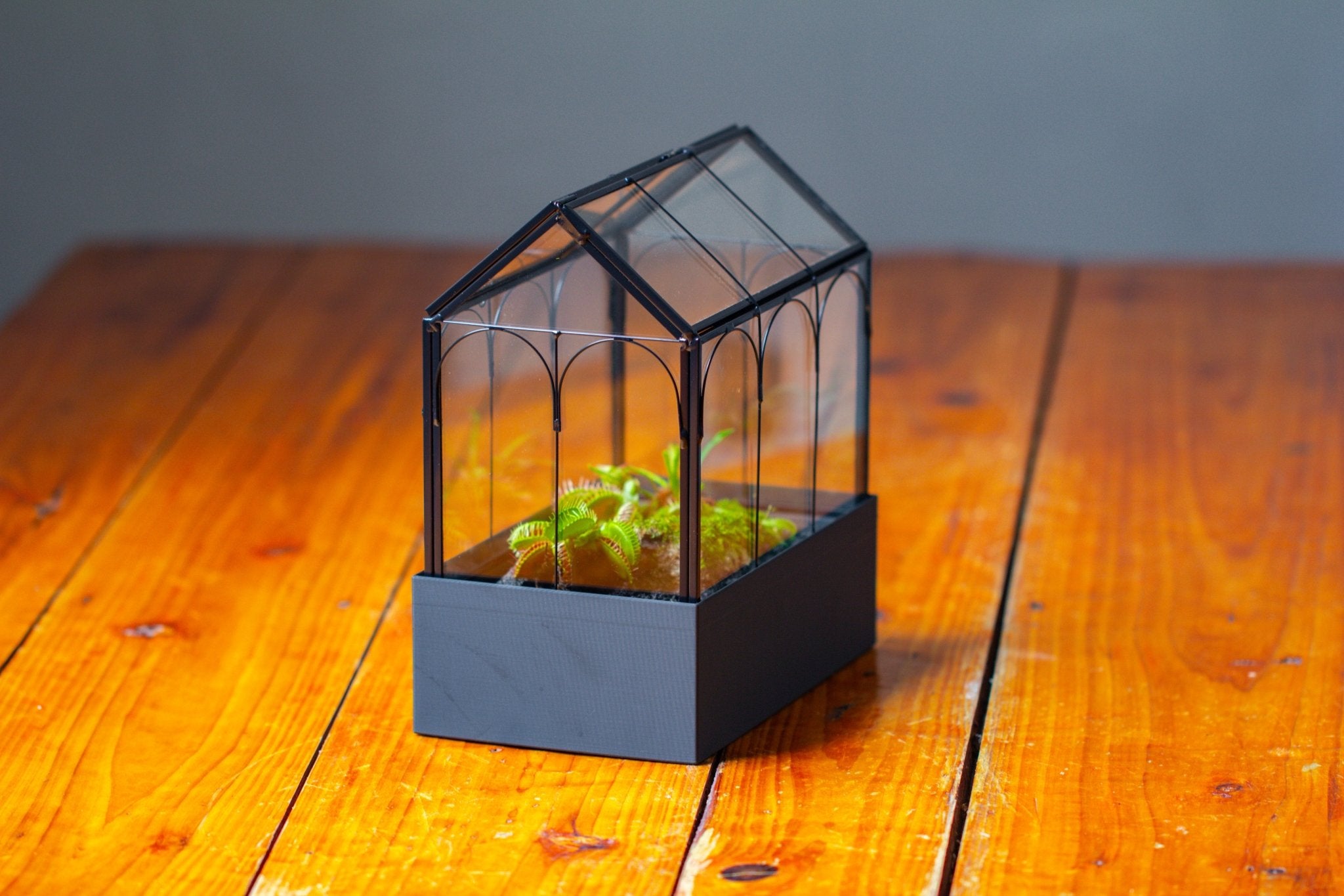 8" Vintage Greenhouse Glass Terrarium with Water - Holding Base and Top Door - NCYPgarden