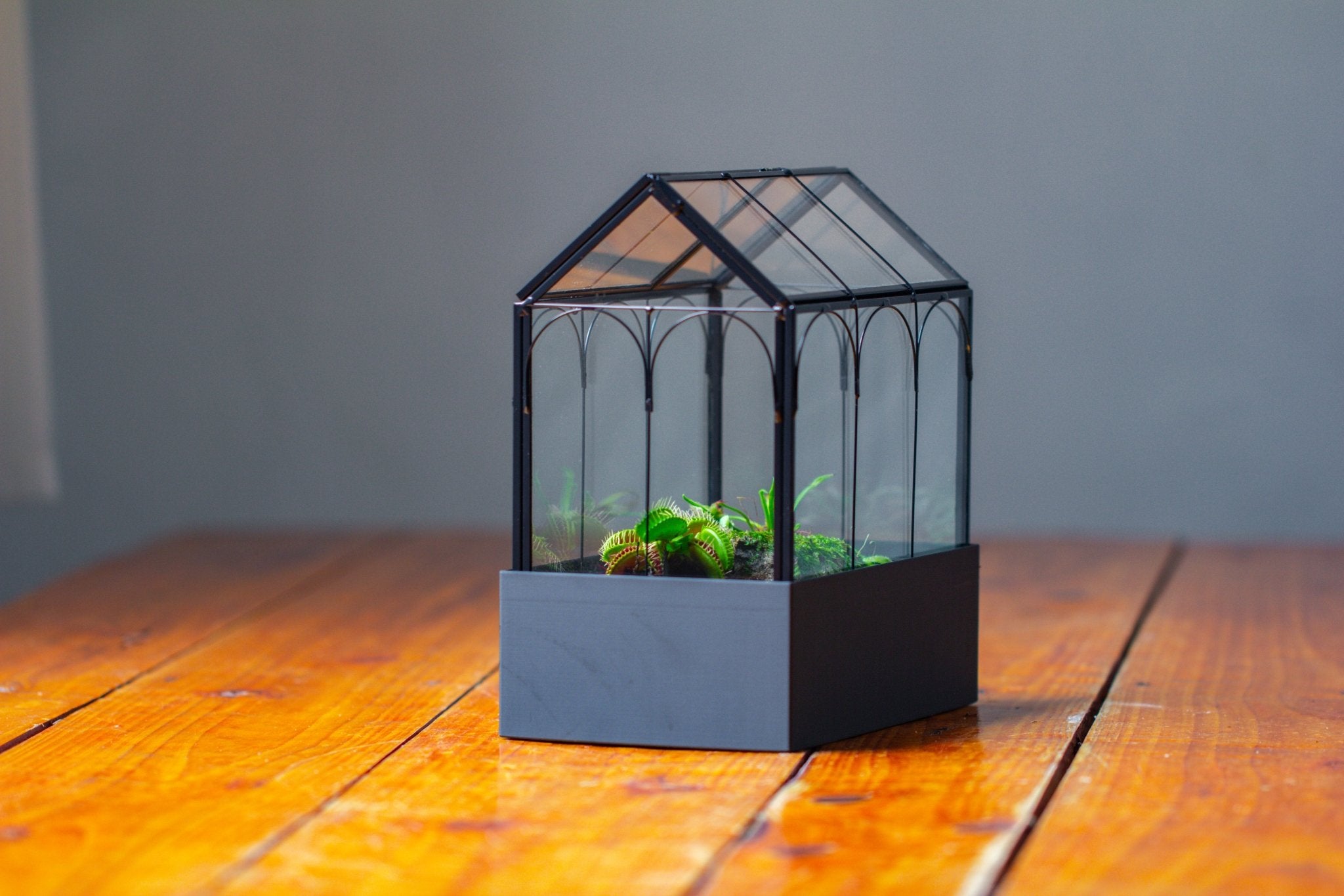 8" Vintage Greenhouse Glass Terrarium with Water - Holding Base and Top Door - NCYPgarden