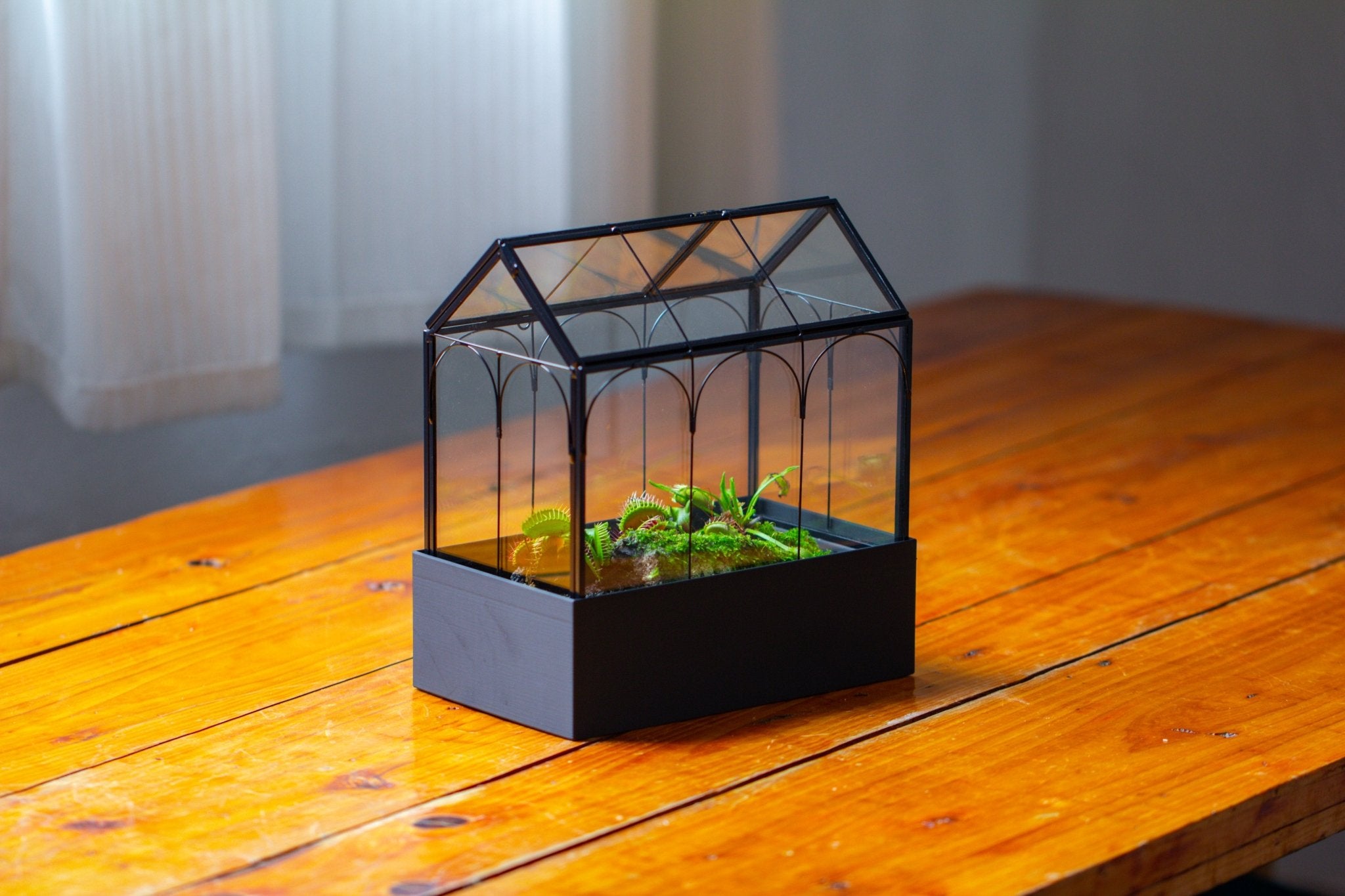 8" Vintage Greenhouse Glass Terrarium with Water - Holding Base and Top Door - NCYPgarden