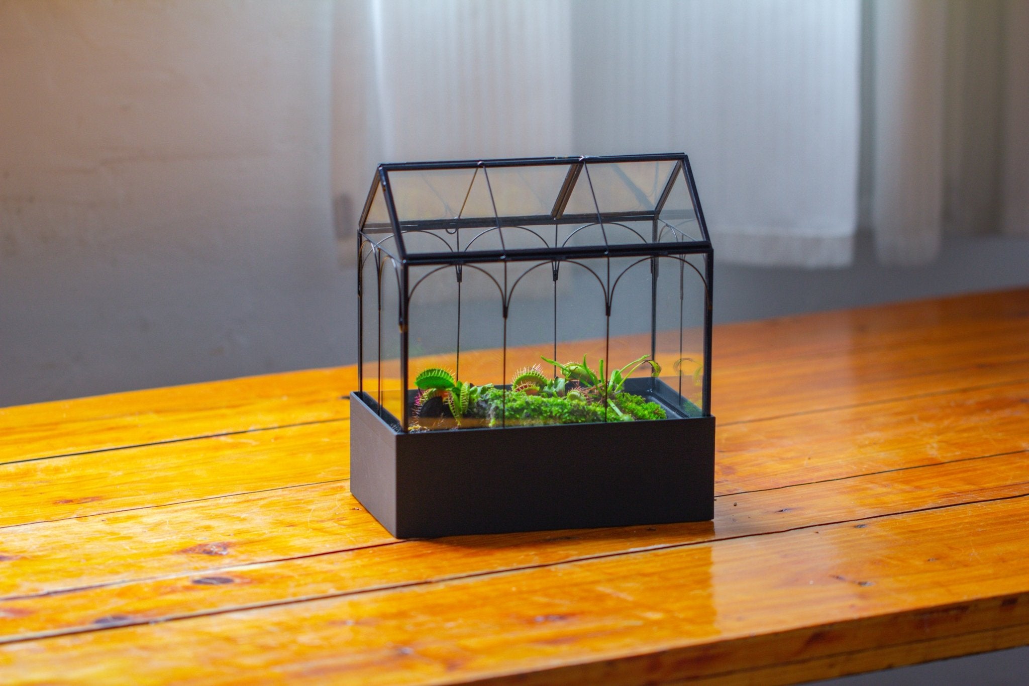 8" Vintage Greenhouse Glass Terrarium with Water - Holding Base and Top Door - NCYPgarden