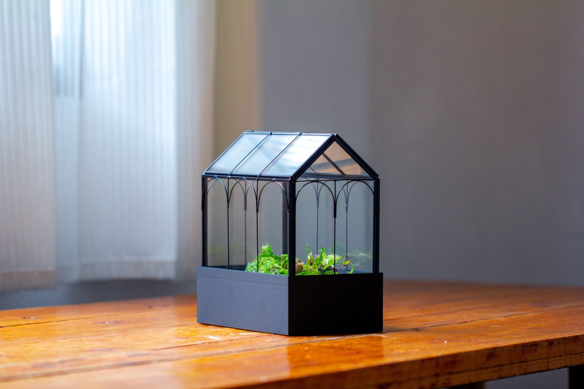 8" Vintage Greenhouse Glass Terrarium with Water - Holding Base and Top Door - NCYPgarden