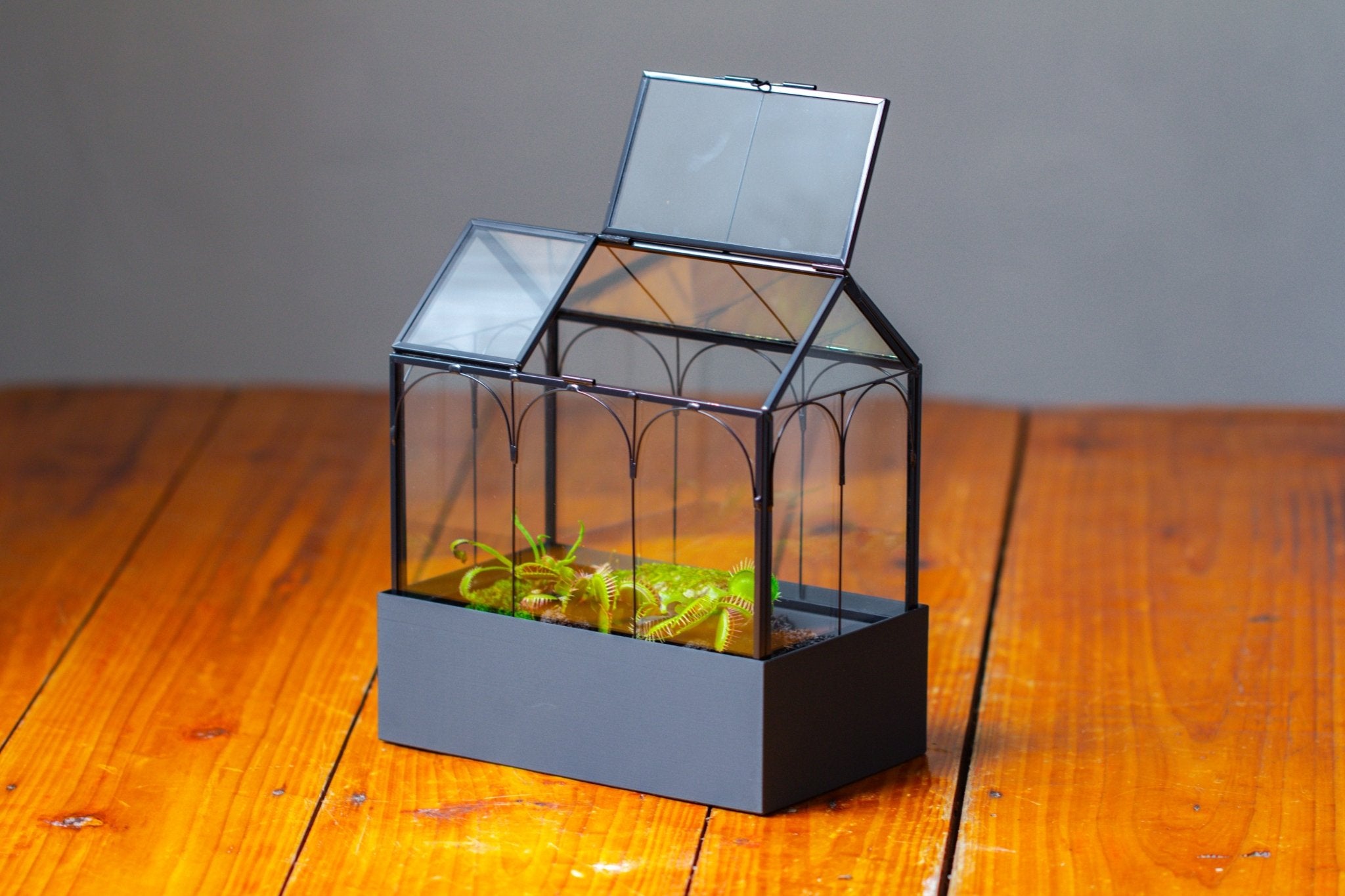 8" Vintage Greenhouse Glass Terrarium with Water - Holding Base and Top Door - NCYPgarden