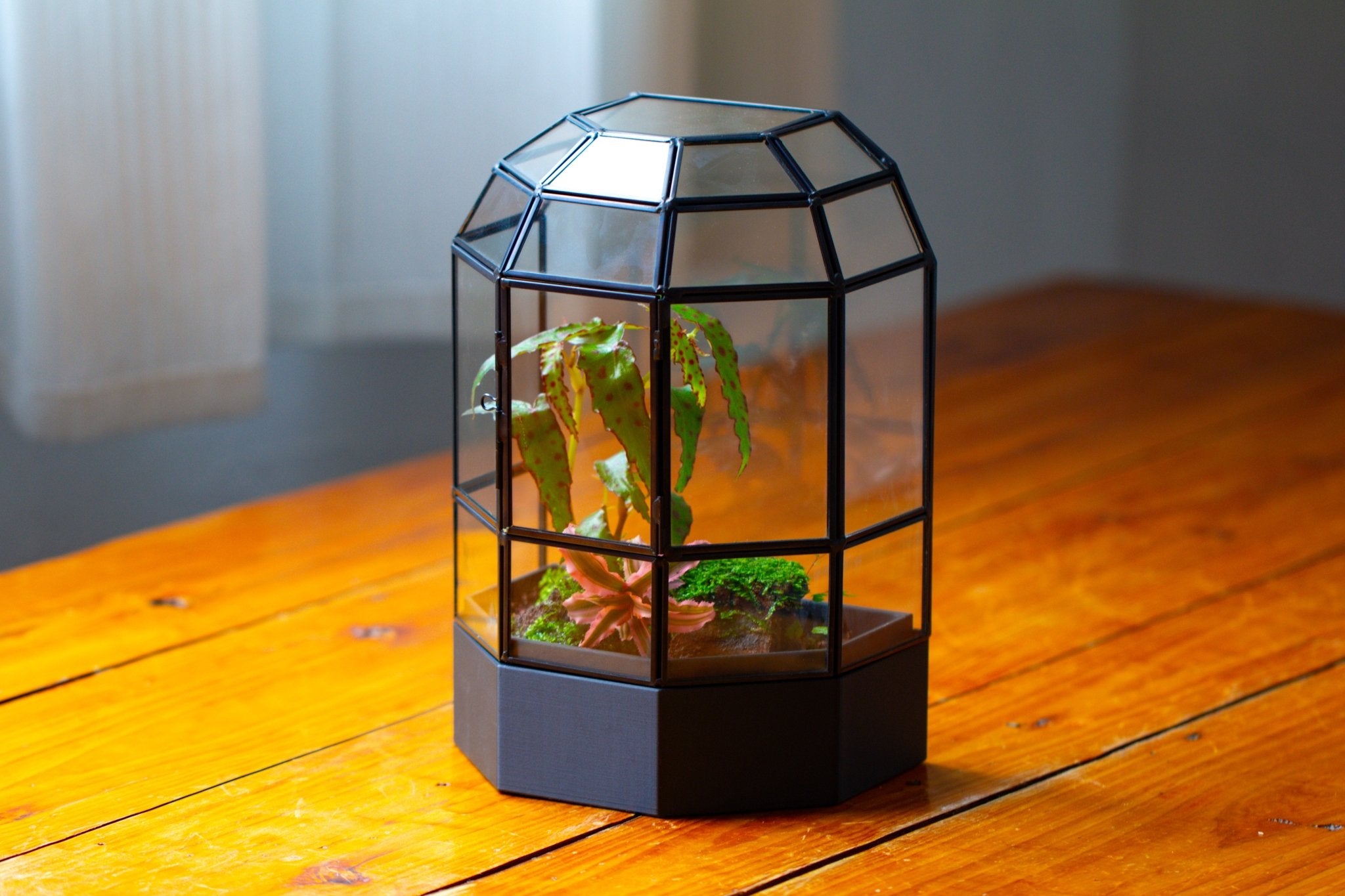 10" Tall Half Dome Glass Terrarium with Water - Holding Base and Door - NCYPgarden