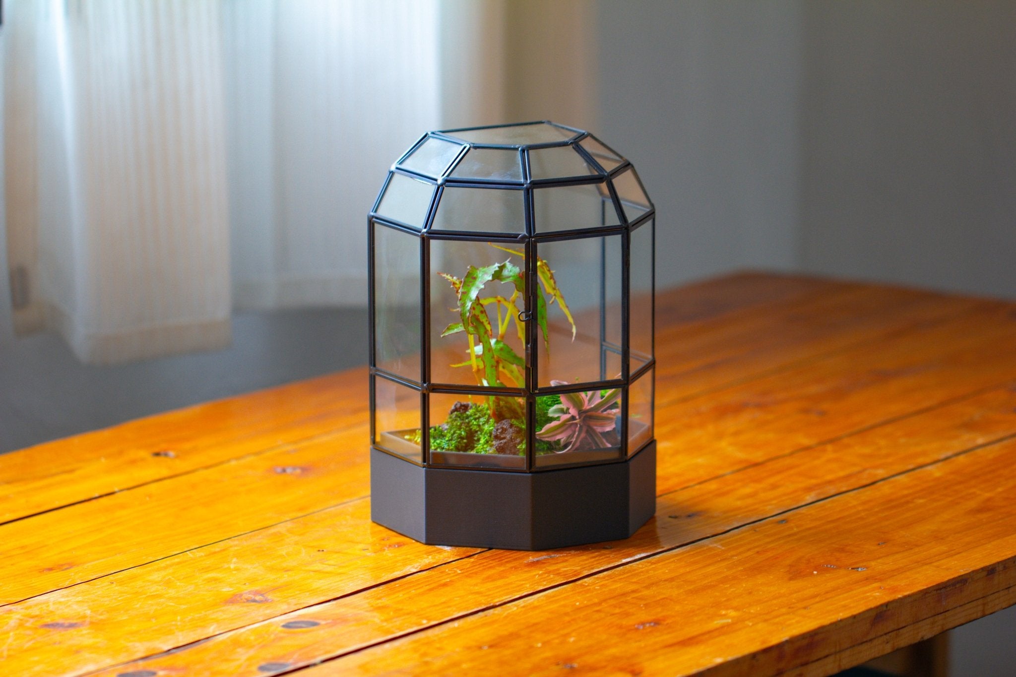 10" Tall Half Dome Glass Terrarium with Water - Holding Base and Door - NCYPgarden