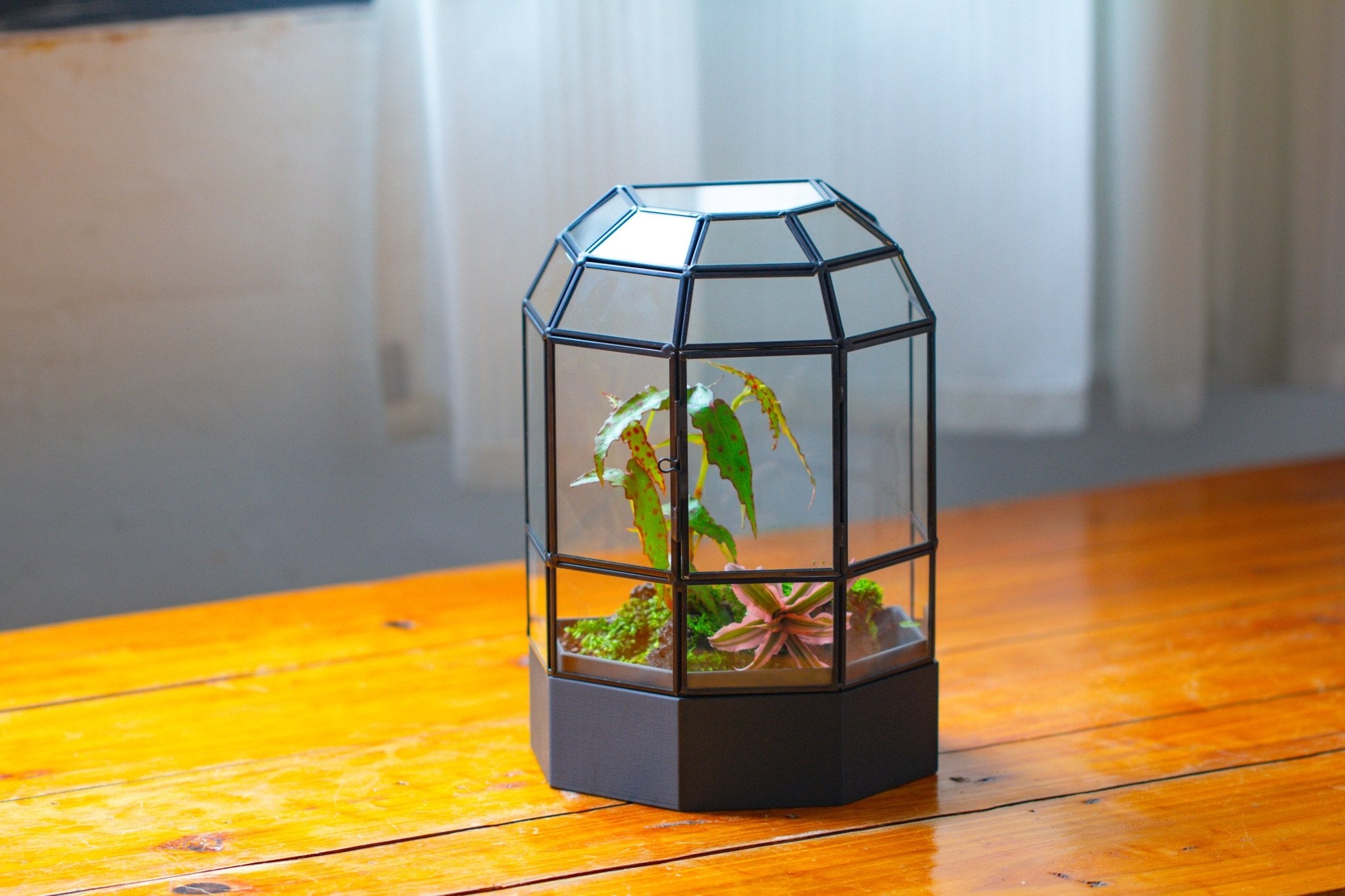 10" Tall Half Dome Glass Terrarium with Water - Holding Base and Door - NCYPgarden