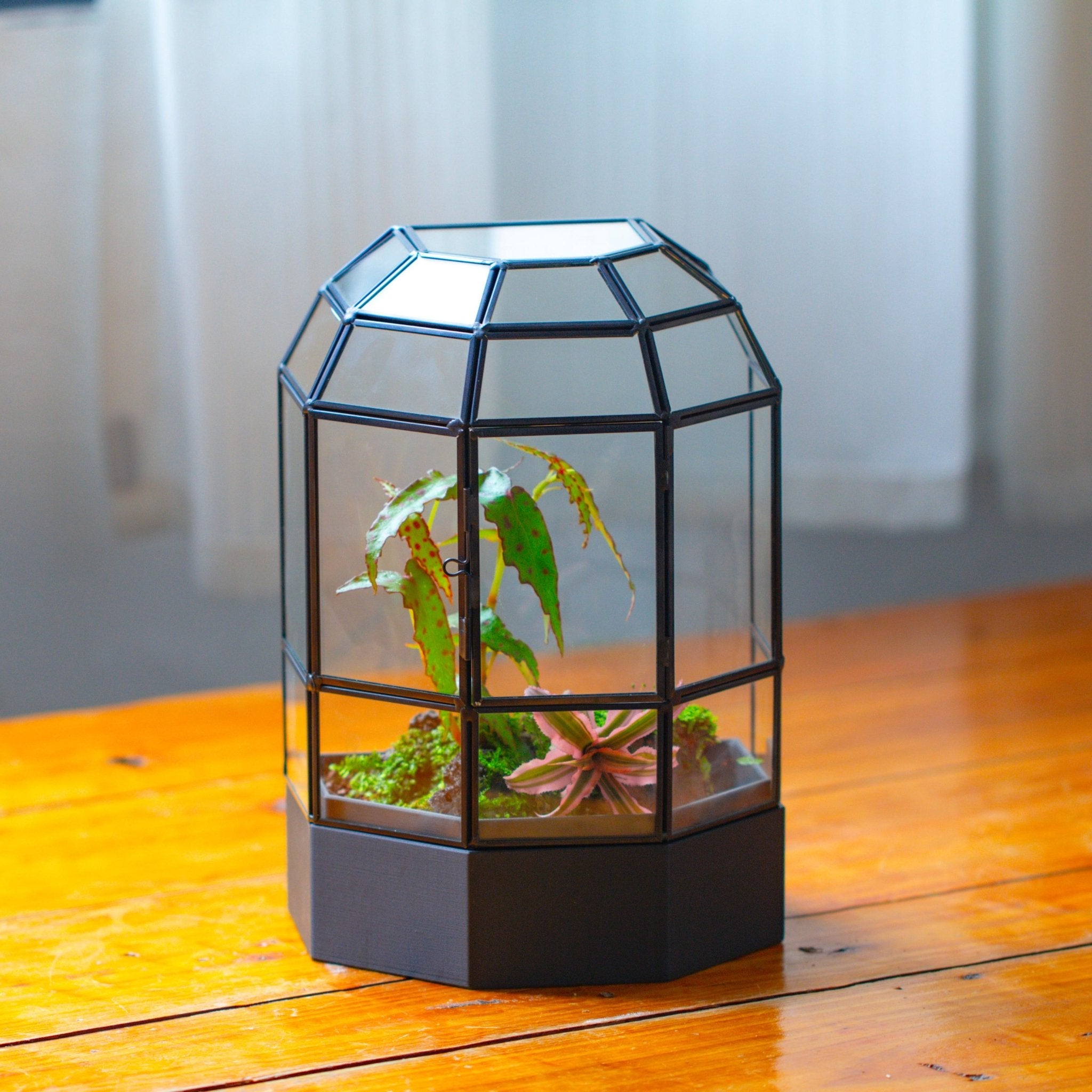 10" Tall Half Dome Glass Terrarium with Water - Holding Base and Door - NCYPgarden