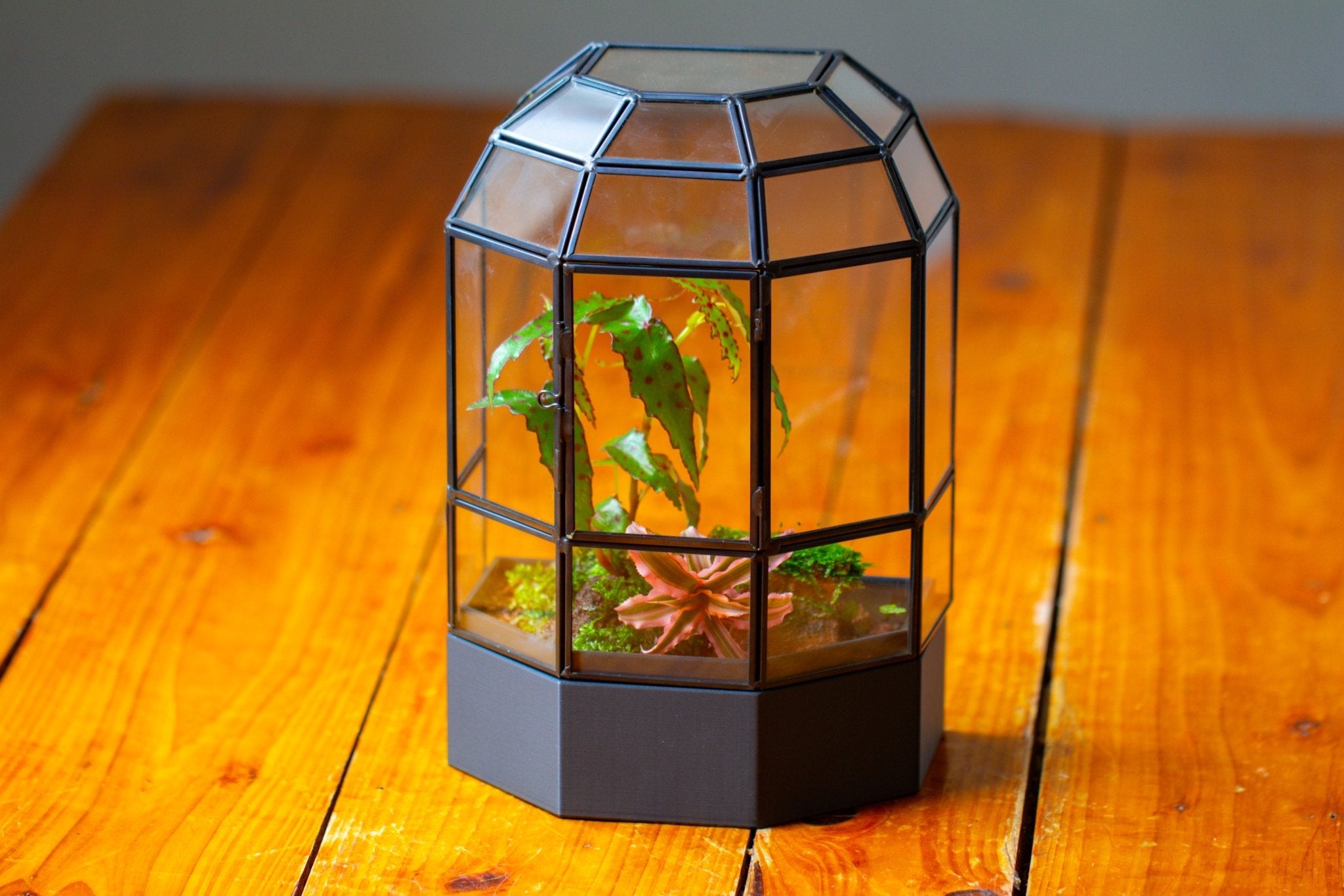 10" Tall Half Dome Glass Terrarium with Water - Holding Base and Door - NCYPgarden