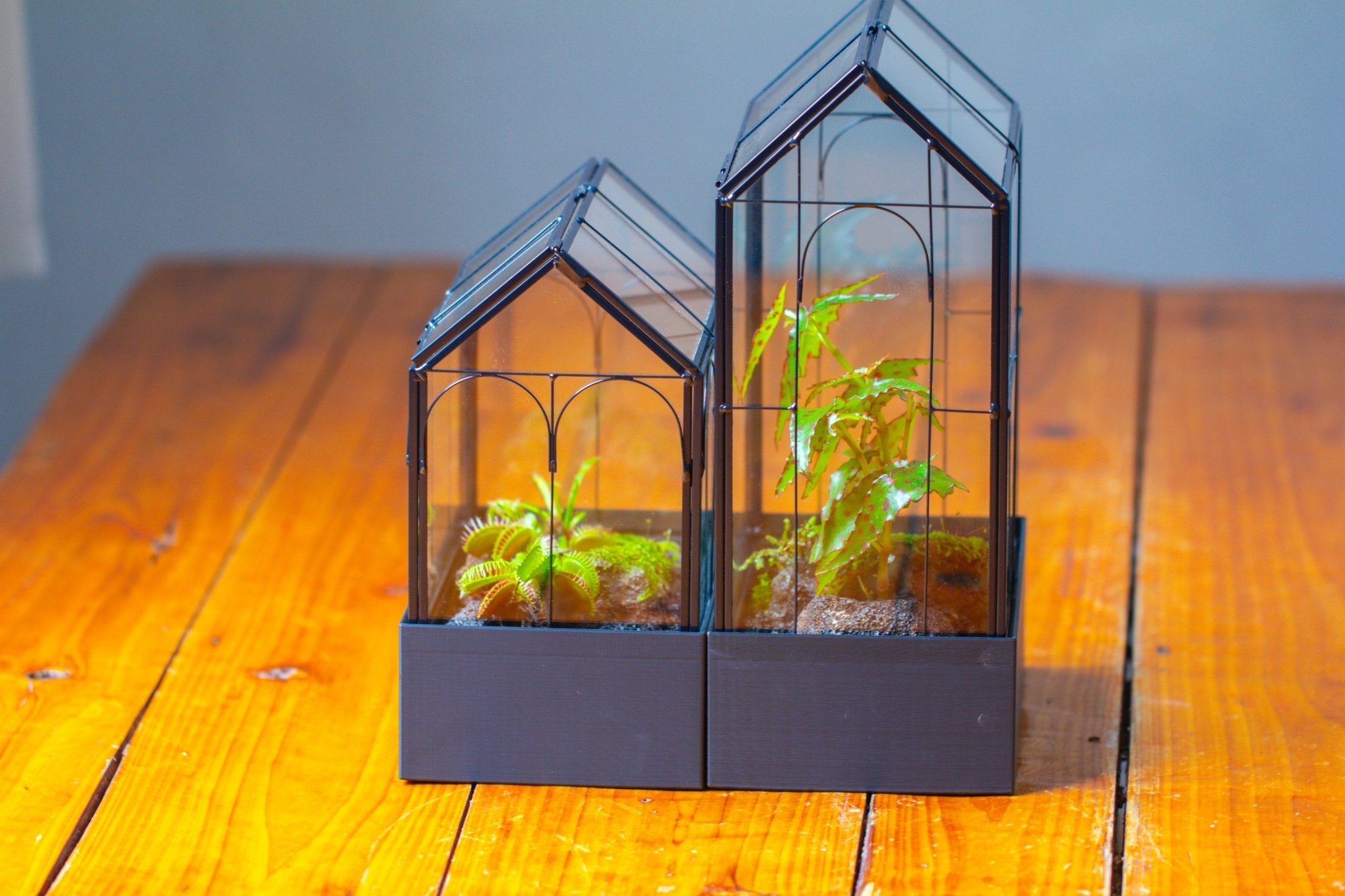 11" Tall Vintage Greenhouse Glass Terrarium with Water - Holding Base and Top Door - NCYPgarden
