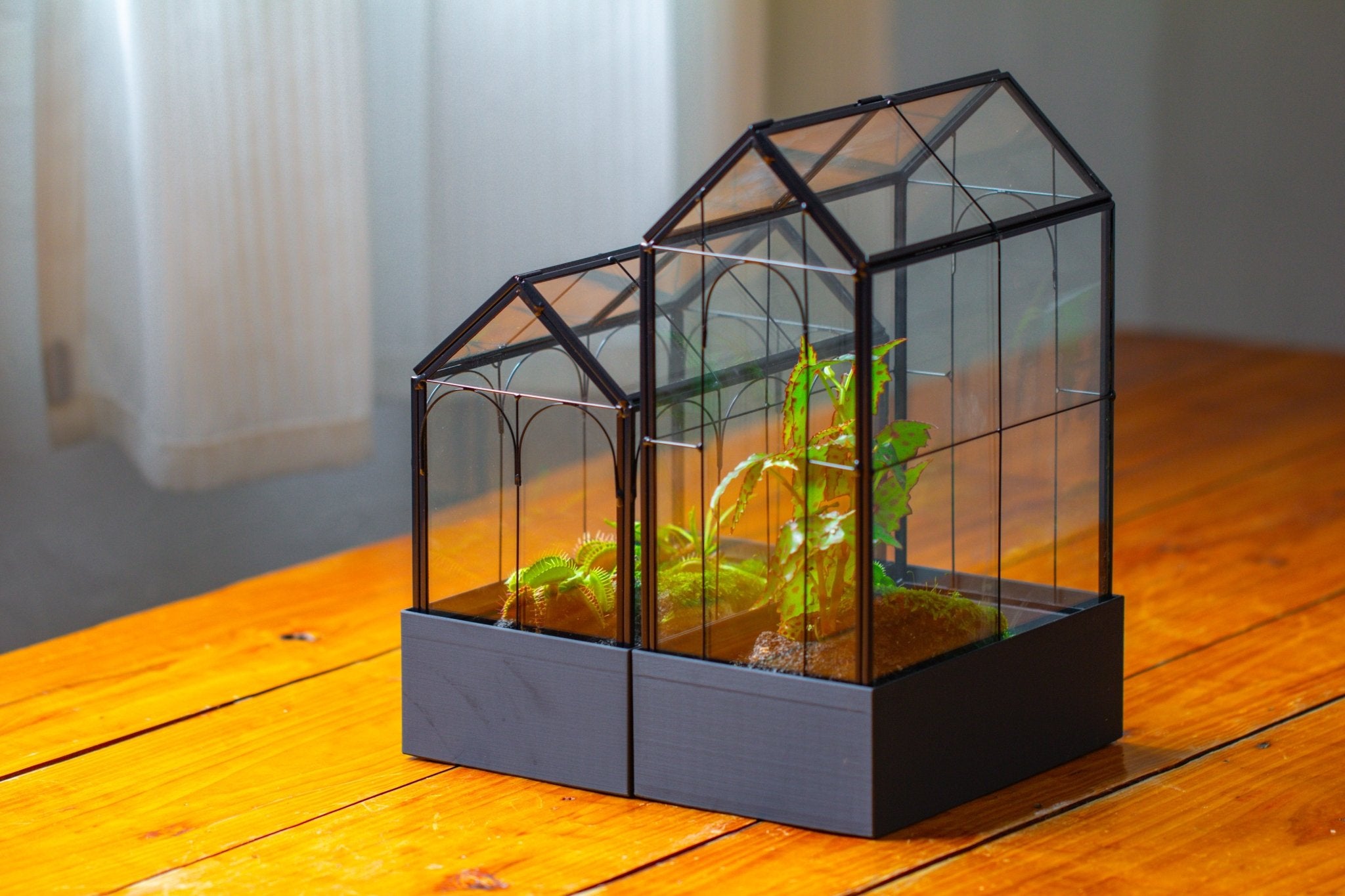 11" Tall Vintage Greenhouse Glass Terrarium with Water - Holding Base and Top Door - NCYPgarden