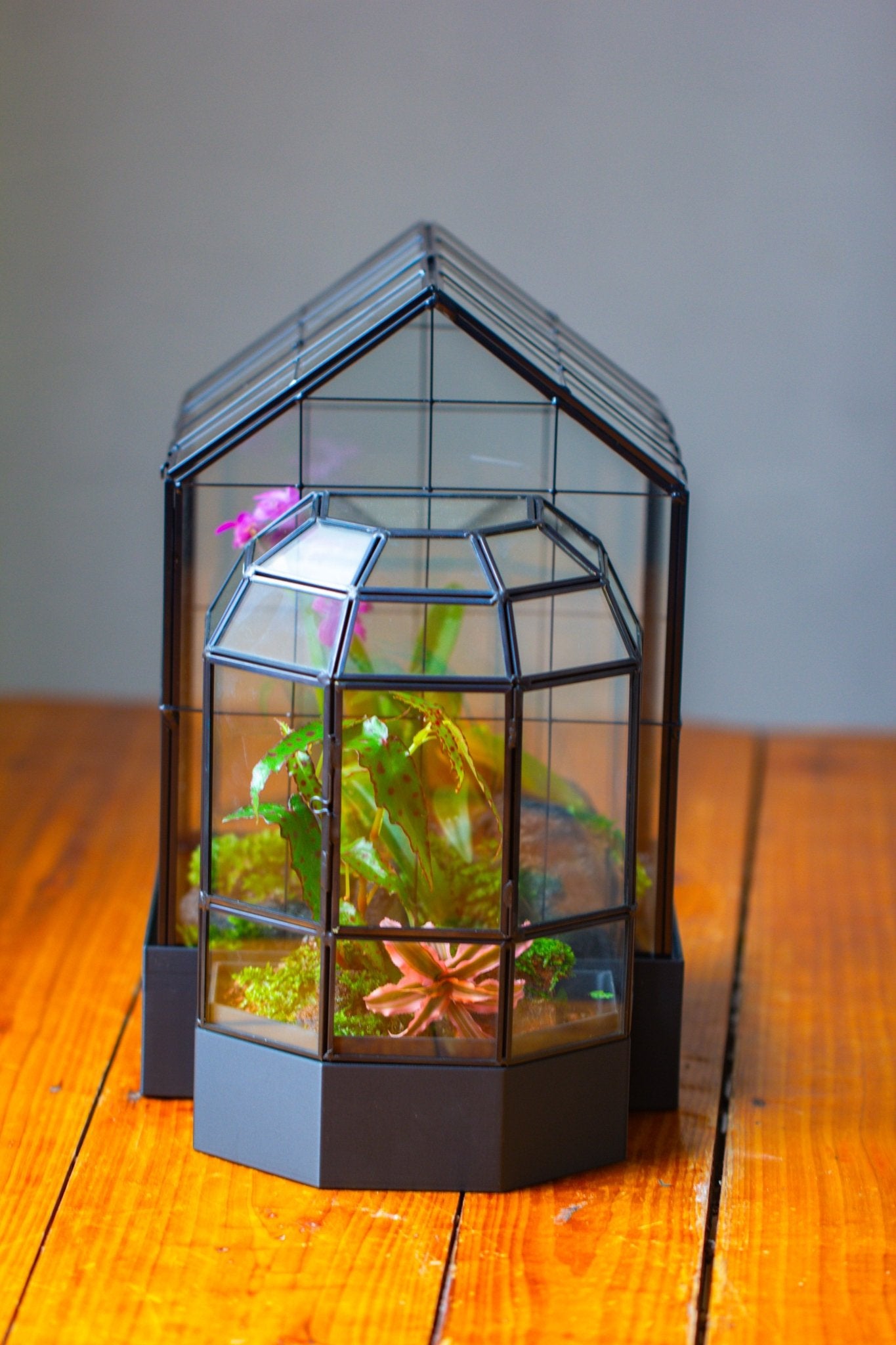 10" Tall Half Dome Glass Terrarium with Water - Holding Base and Door - NCYPgarden
