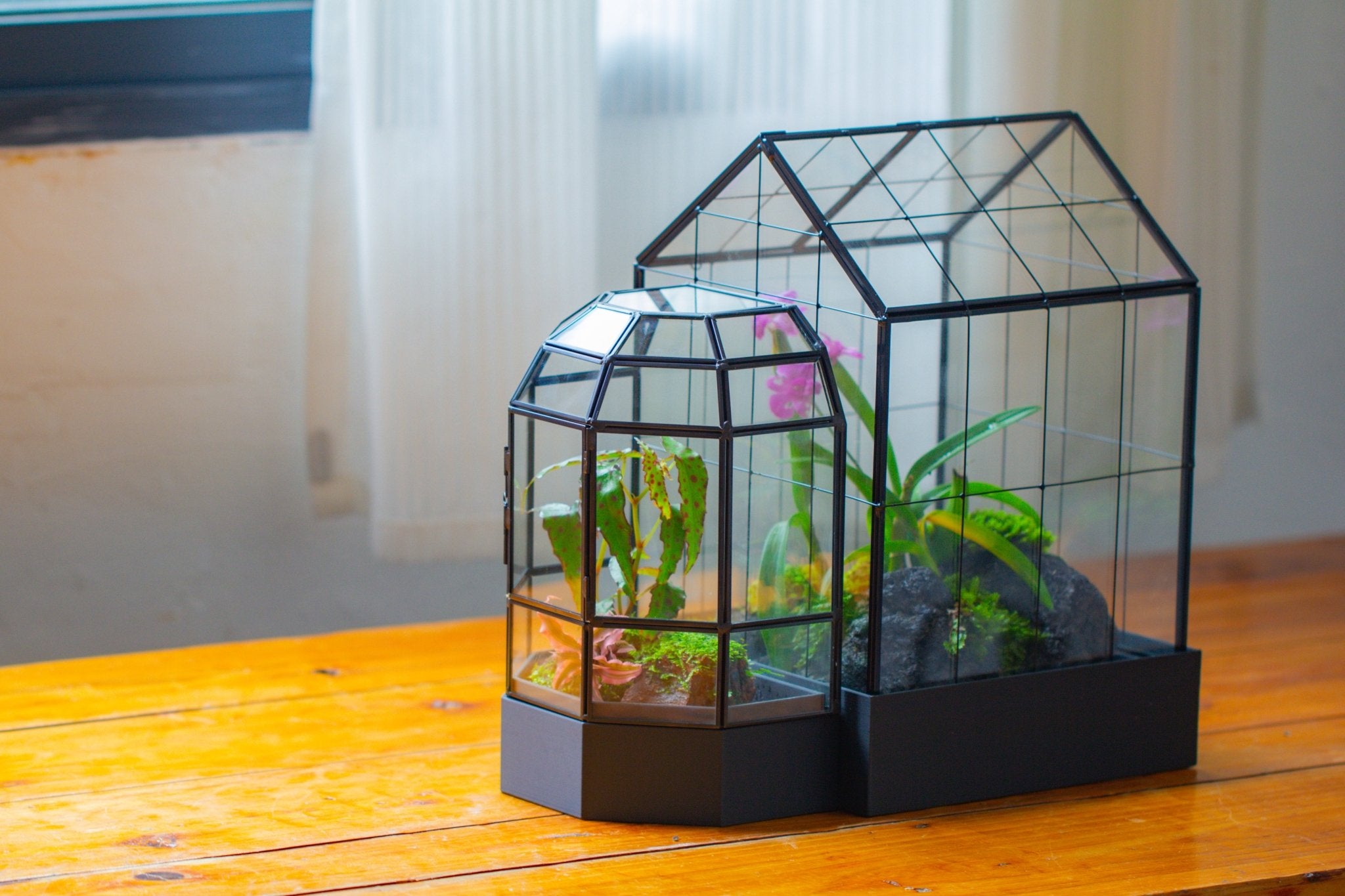 11” Vintage Greenhouse Glass Terrarium with Water - Holding Tray and Top Door - NCYPgarden