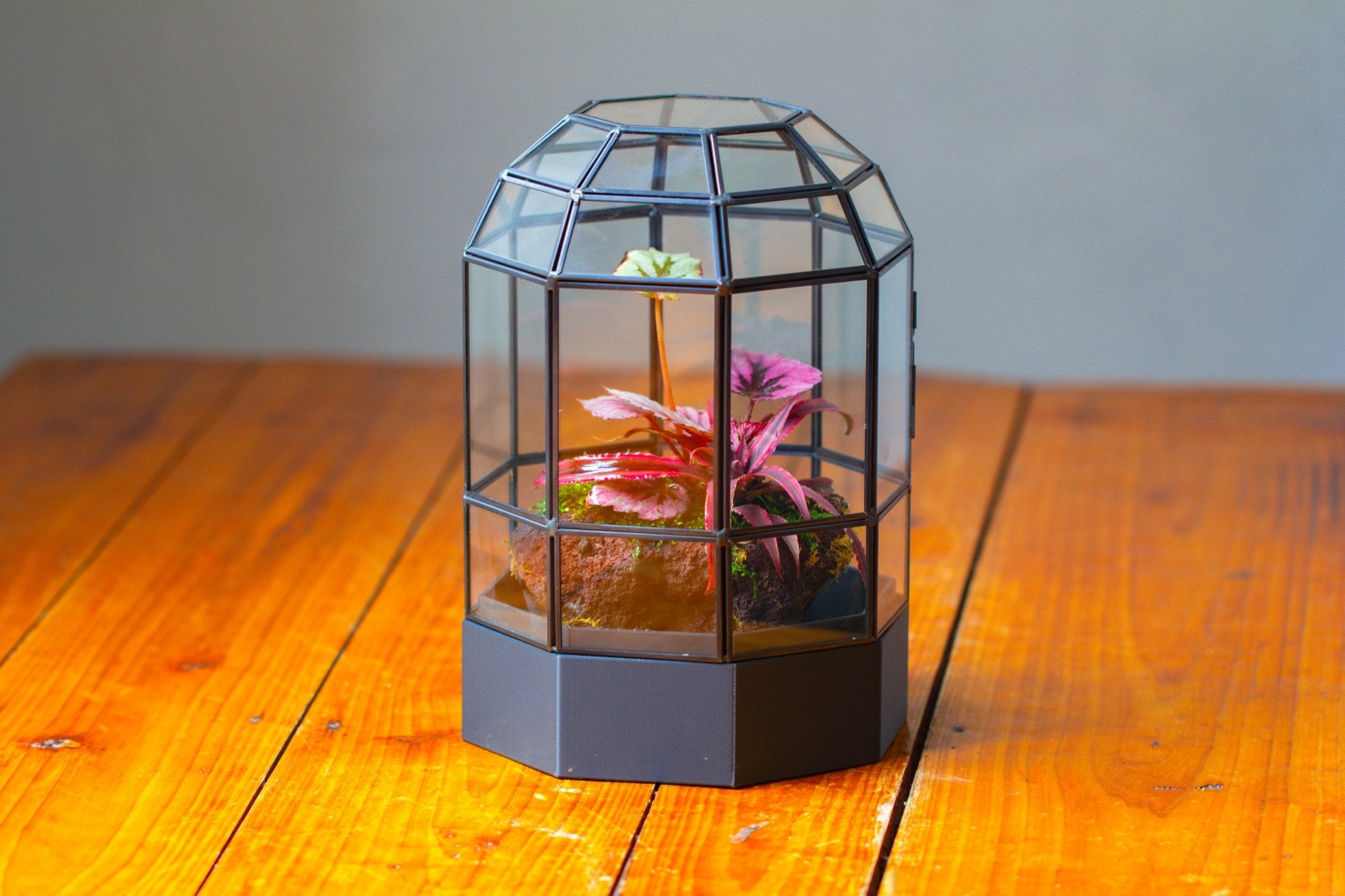 10" Tall Dome Glass Terrarium with Water - Holding Base and Door - NCYPgarden