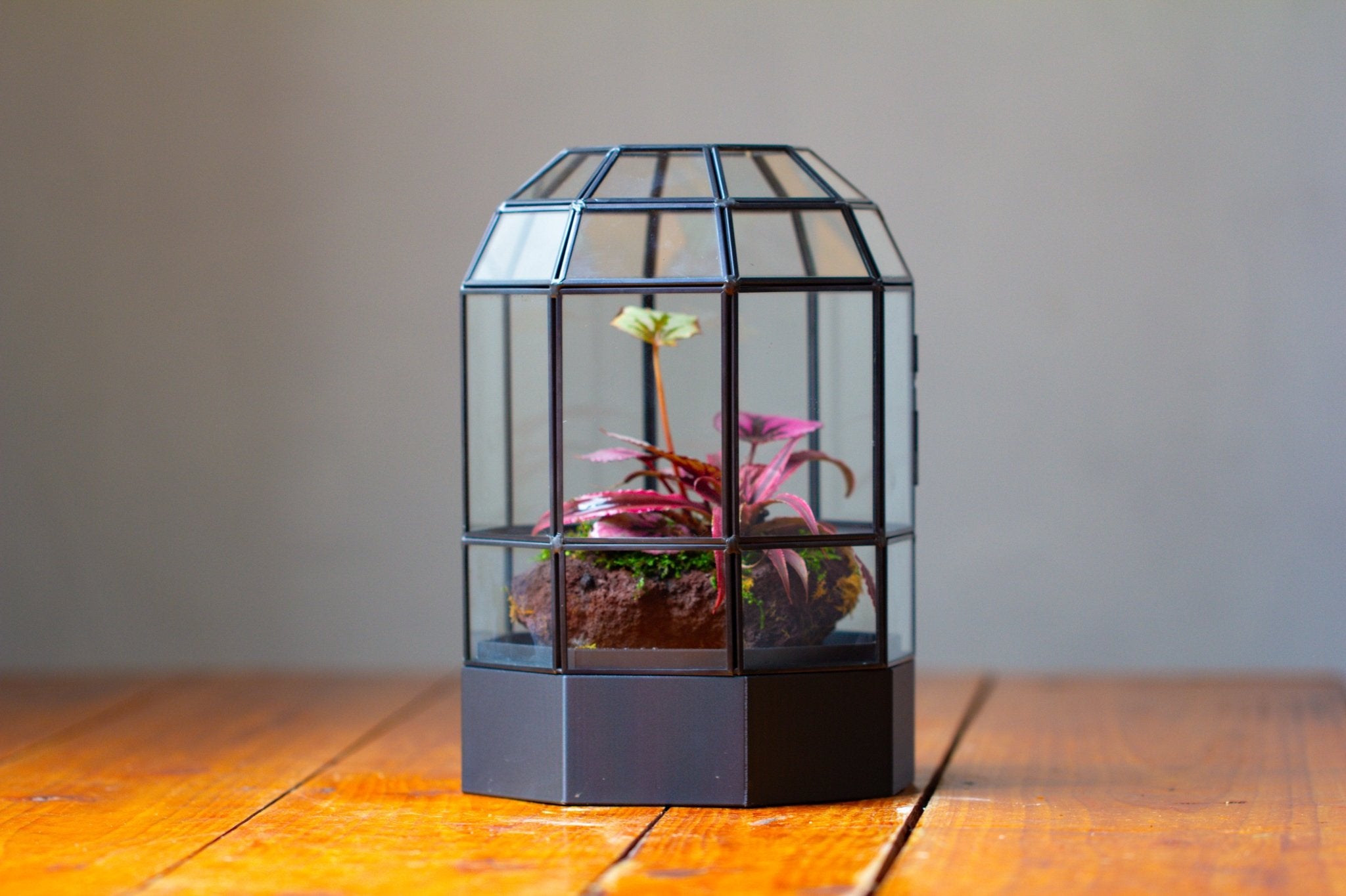 10" Tall Dome Glass Terrarium with Water - Holding Base and Door - NCYPgarden