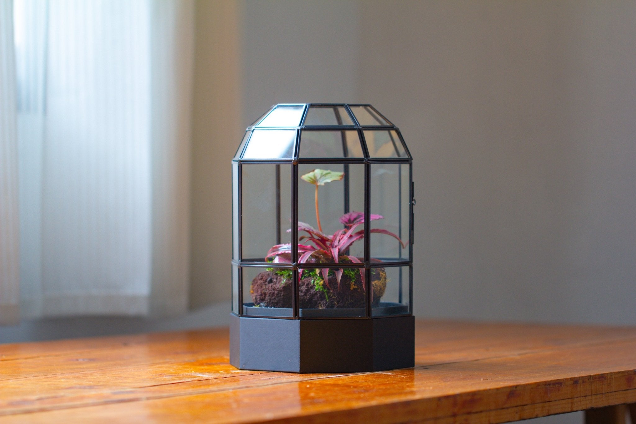 10" Tall Dome Glass Terrarium with Water - Holding Base and Door - NCYPgarden