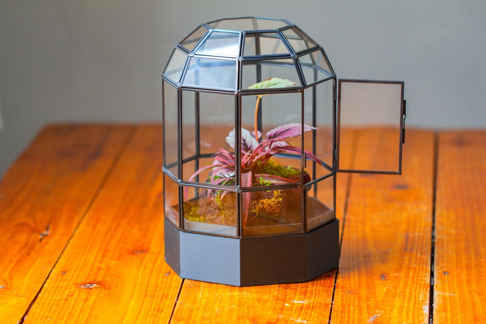 10" Tall Dome Glass Terrarium with Water - Holding Base and Door - NCYPgarden