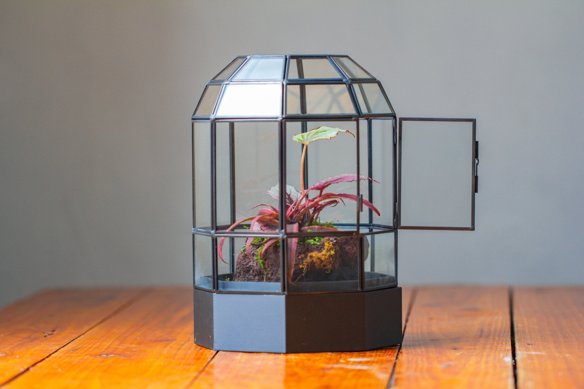 10" Tall Dome Glass Terrarium with Water - Holding Base and Door - NCYPgarden