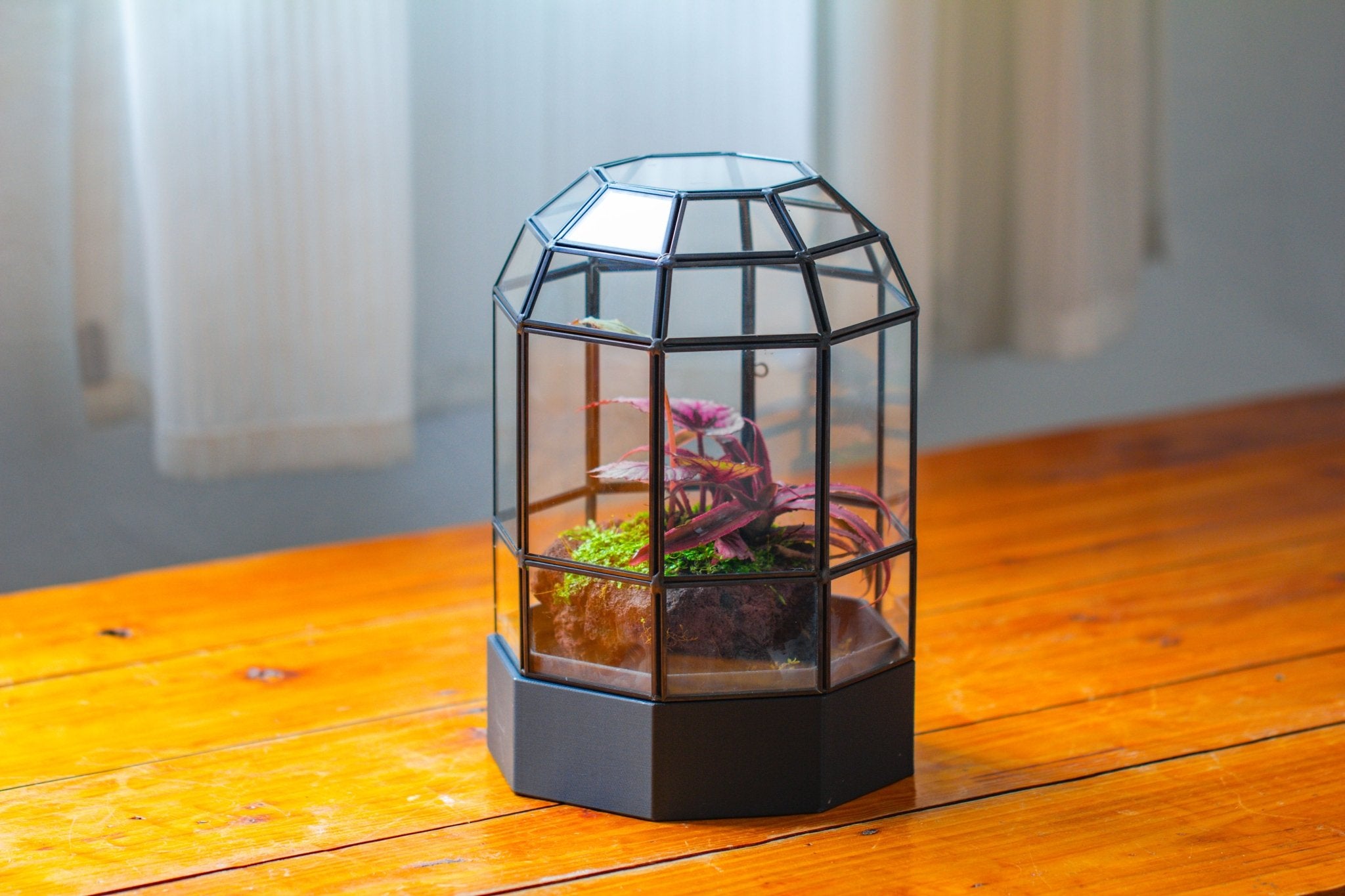 10" Tall Dome Glass Terrarium with Water - Holding Base and Door - NCYPgarden