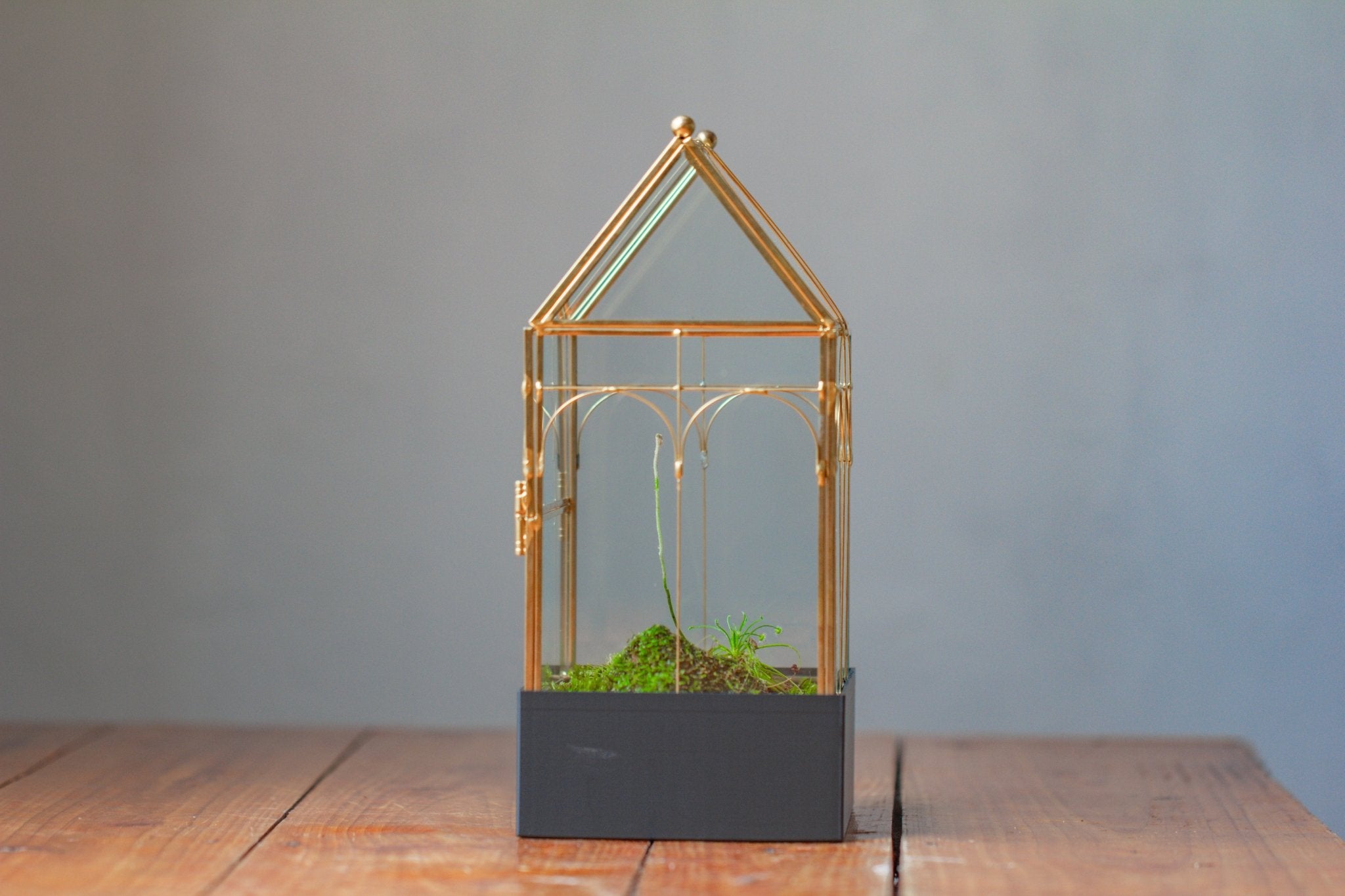 11” Gold Victorian Greenhouse Glass Terrarium with Water - Holding Base and Side Door - NCYPgarden