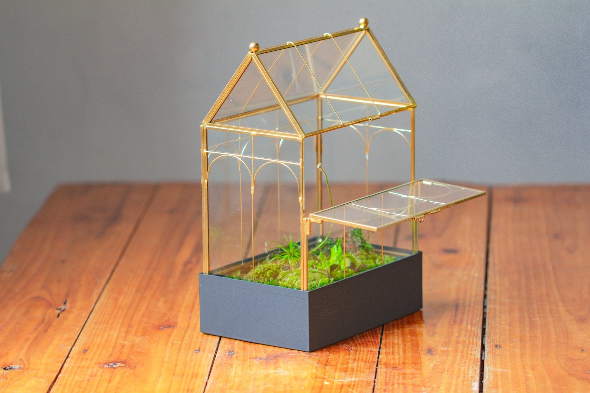 11” Gold Victorian Greenhouse Glass Terrarium with Water - Holding Base and Side Door - NCYPgarden