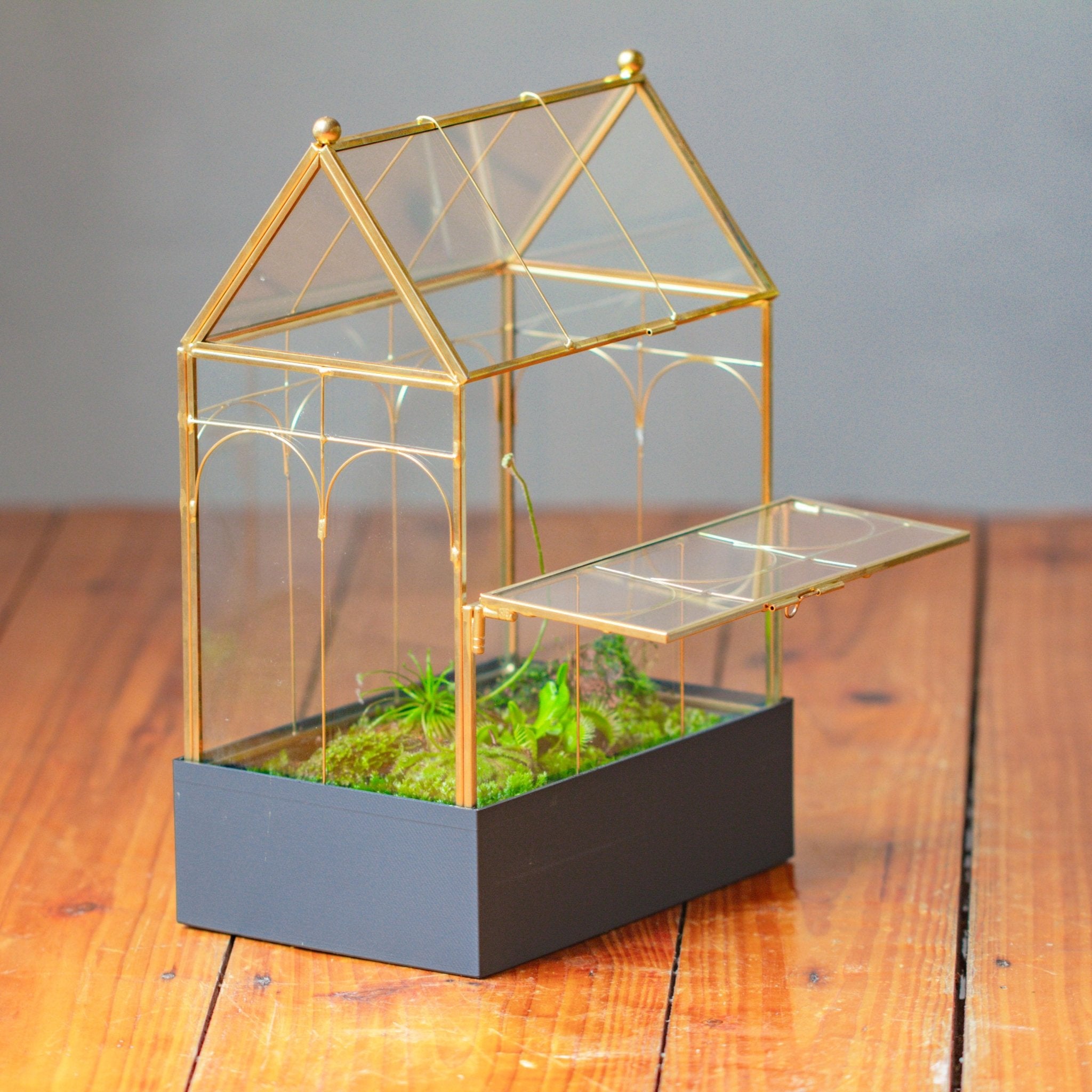 11” Gold Victorian Greenhouse Glass Terrarium with Water - Holding Base and Side Door - NCYPgarden