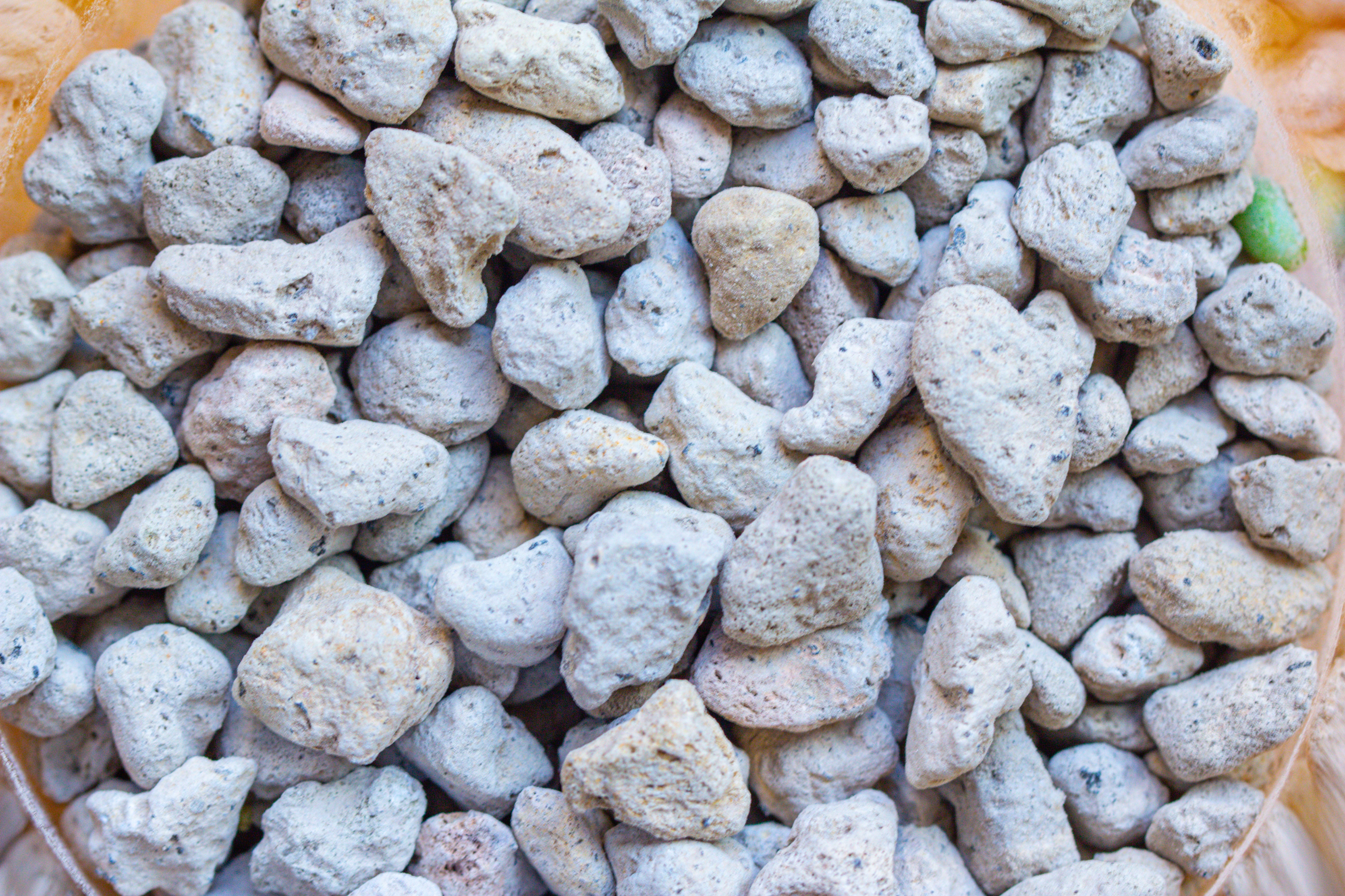 Grey White Horticultural Lava Rock Volcanic Rock - NCYPgarden