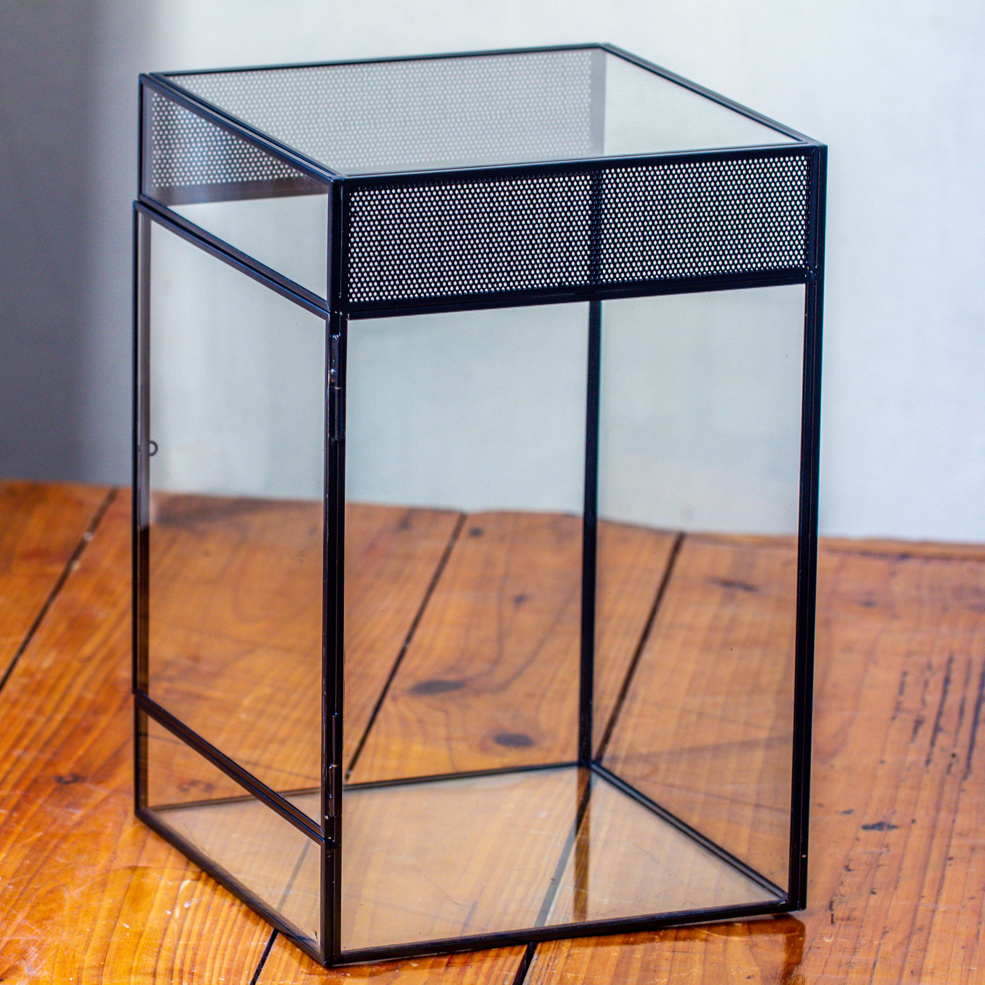 8x8x12 inches Large Handmade Glass Geometric Terrarium with Side Vent, for large insects - NCYPgarden