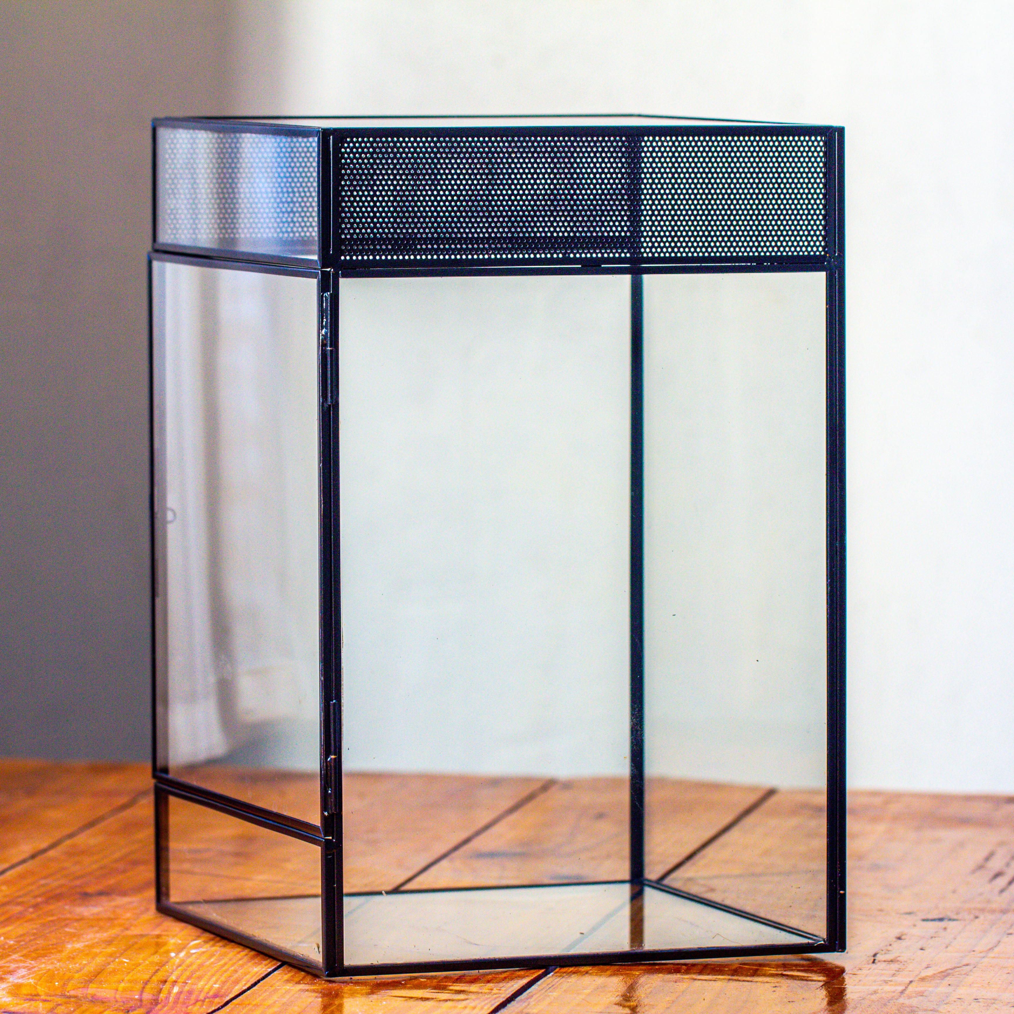8x8x12 inches Large Handmade Glass Geometric Terrarium with Side Vent, for large insects - NCYPgarden