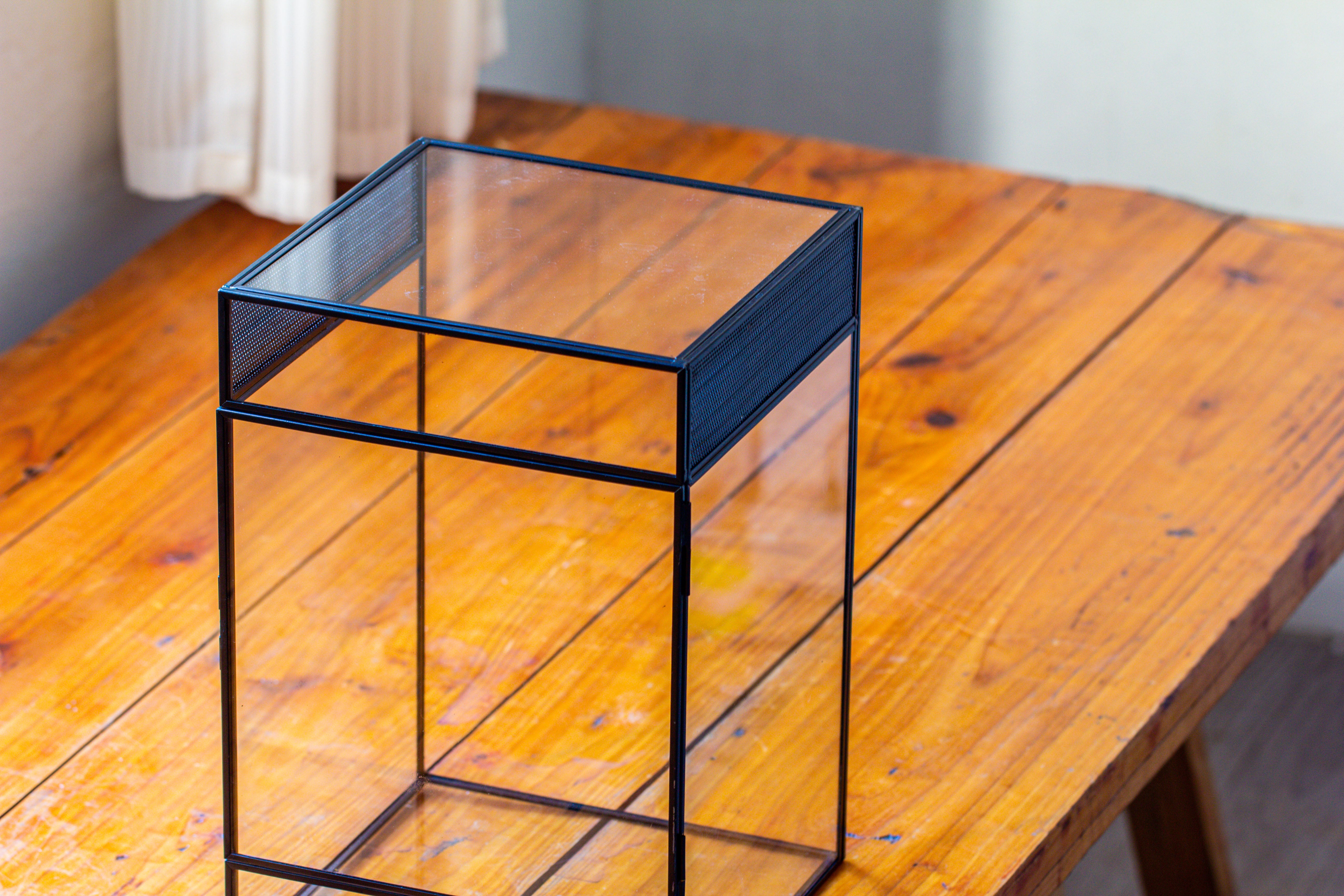 8x8x12 inches Large Handmade Glass Geometric Terrarium with Side Vent, for large insects - NCYPgarden