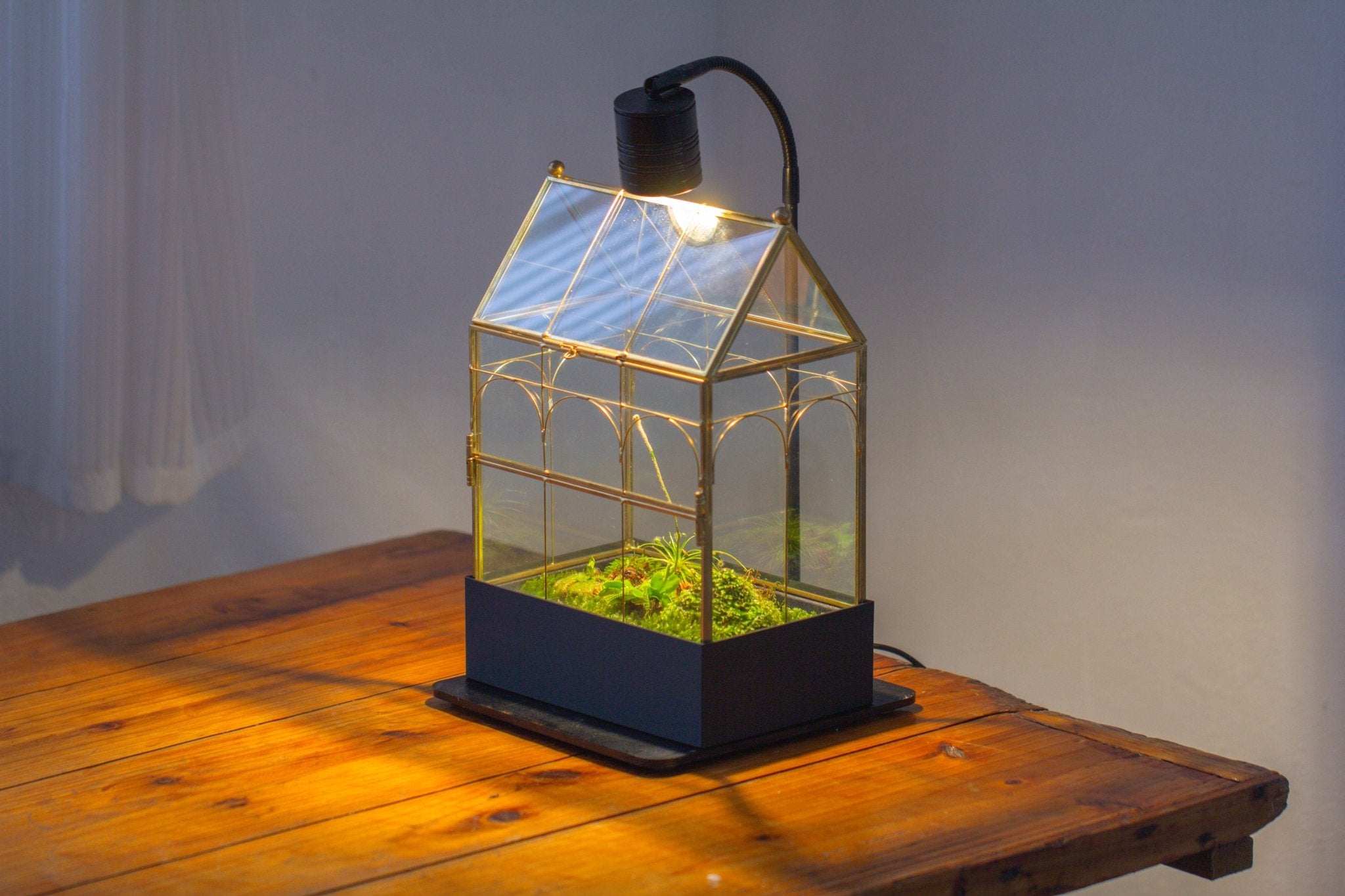 11” Gold Victorian Greenhouse Glass Terrarium with Water - Holding Base and Side Door - NCYPgarden