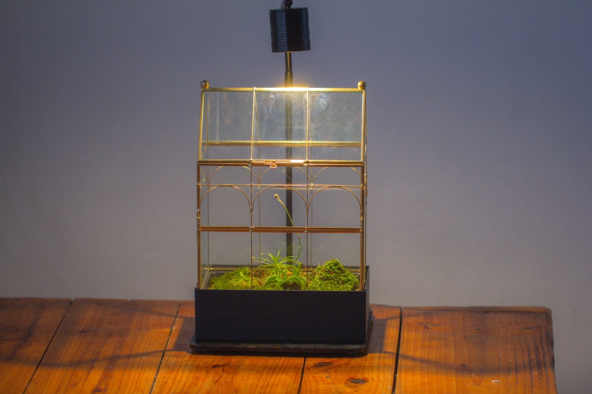 11” Gold Victorian Greenhouse Glass Terrarium with Water - Holding Base and Side Door - NCYPgarden
