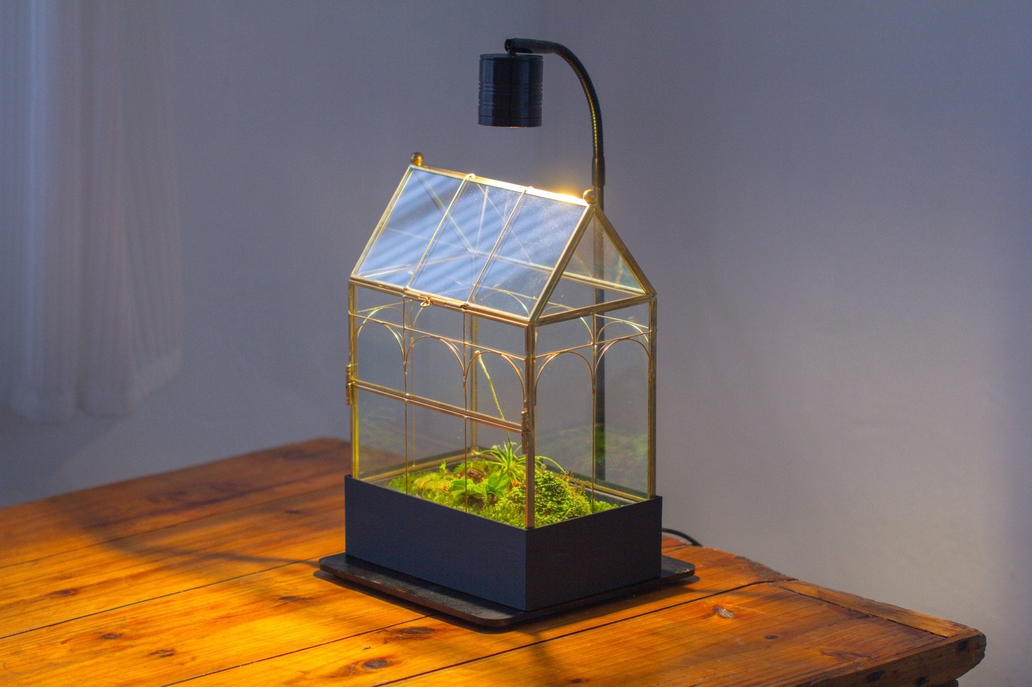 11” Gold Victorian Greenhouse Glass Terrarium with Water - Holding Base and Side Door - NCYPgarden