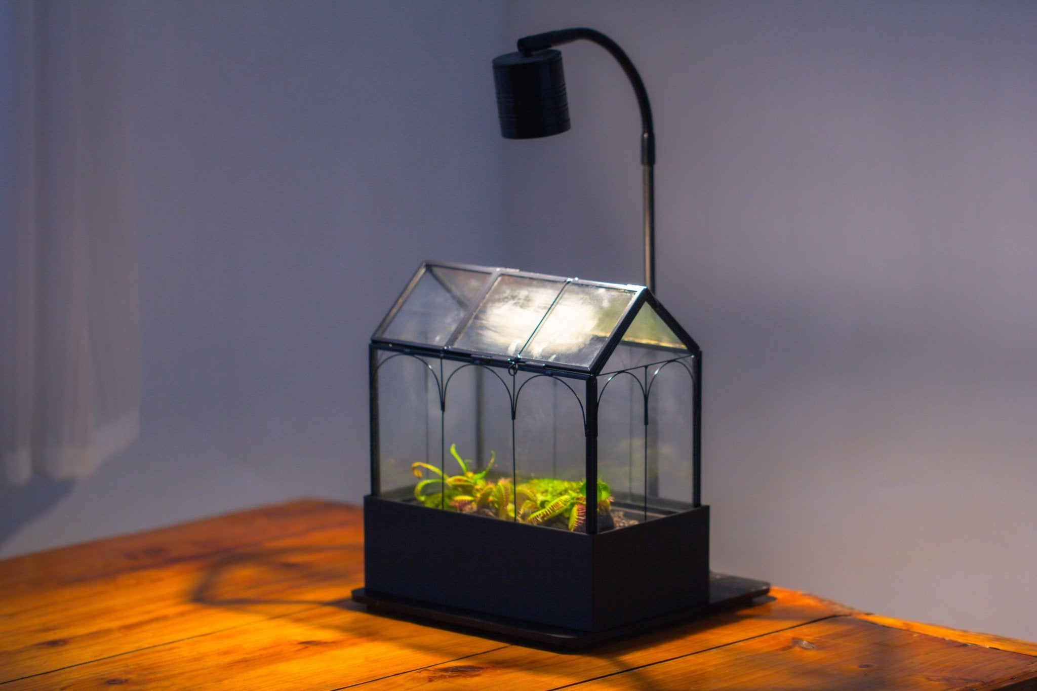 8" Vintage Greenhouse Glass Terrarium with Water - Holding Base and Top Door - NCYPgarden