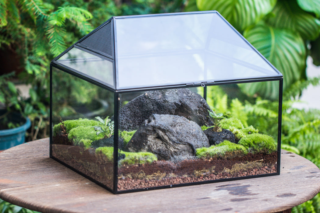  NCYP House Shape Glass Terrarium with Acrylic Lid