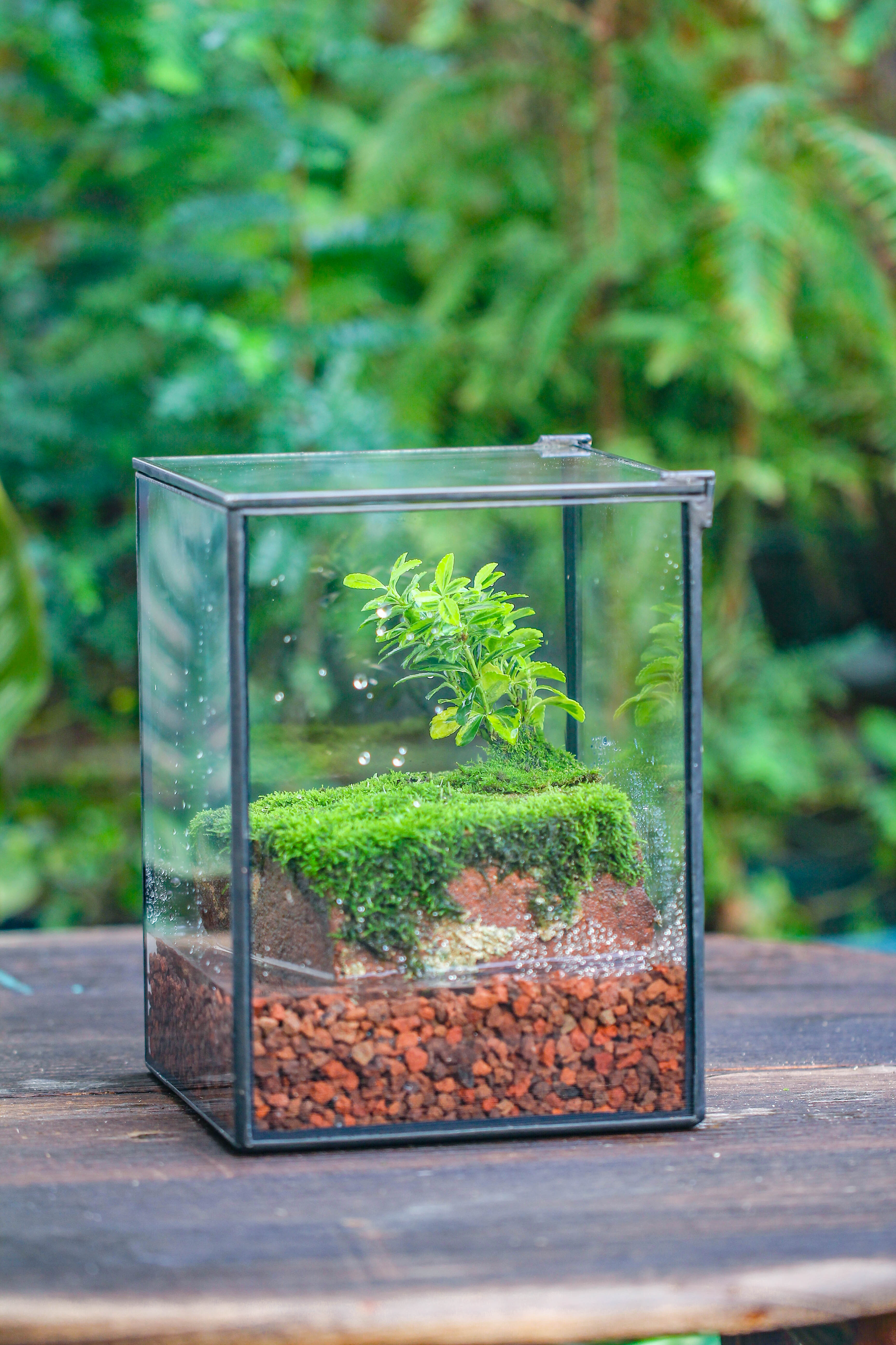 NCYP Watertight Close Geometric Glass Tin Terrarium, for small waterpond, moss landscape, Live Miniature, water pond, miniature - NCYPgarden