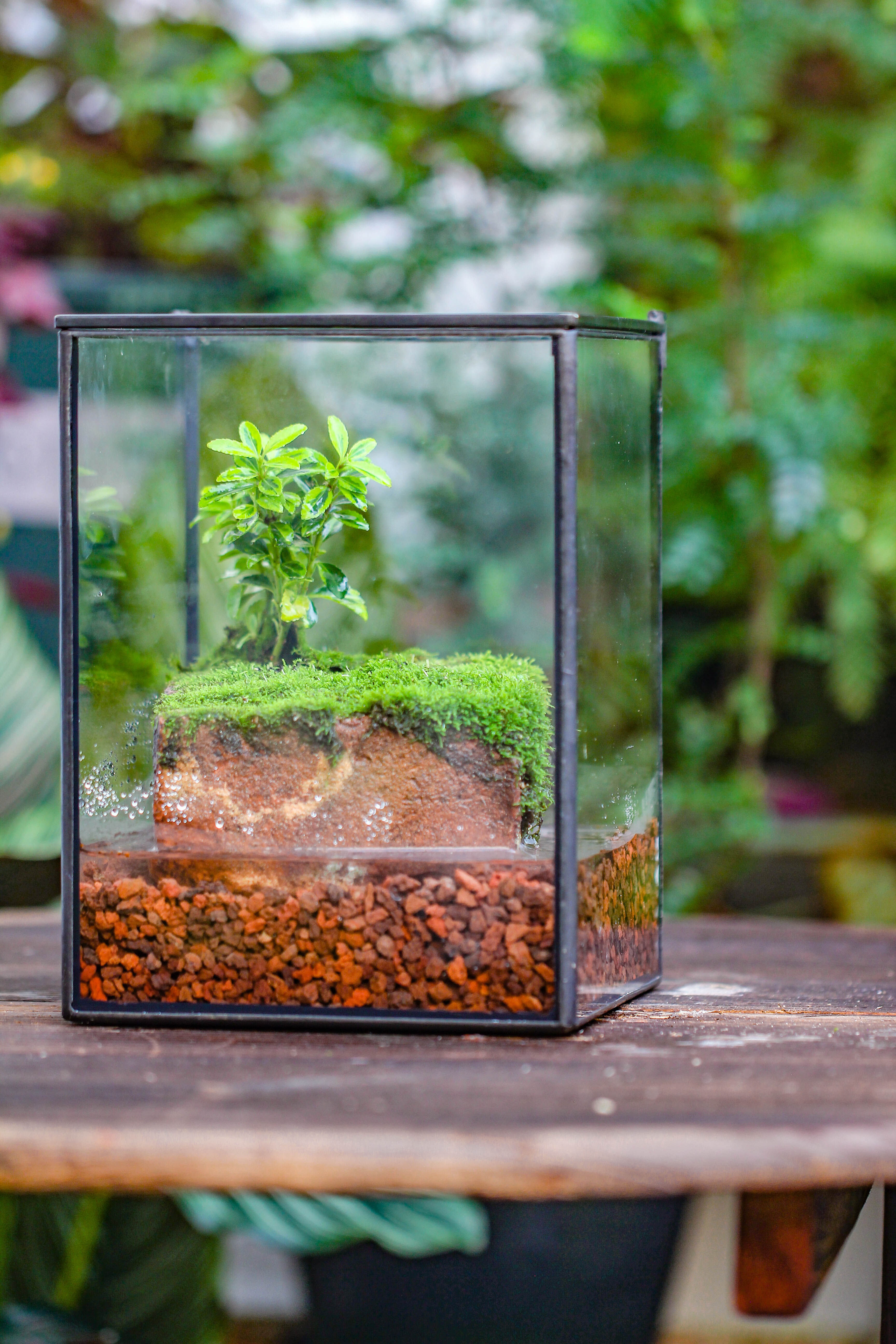 NCYP Watertight Close Geometric Glass Tin Terrarium, for small waterpond, moss landscape, Live Miniature, water pond, miniature - NCYPgarden