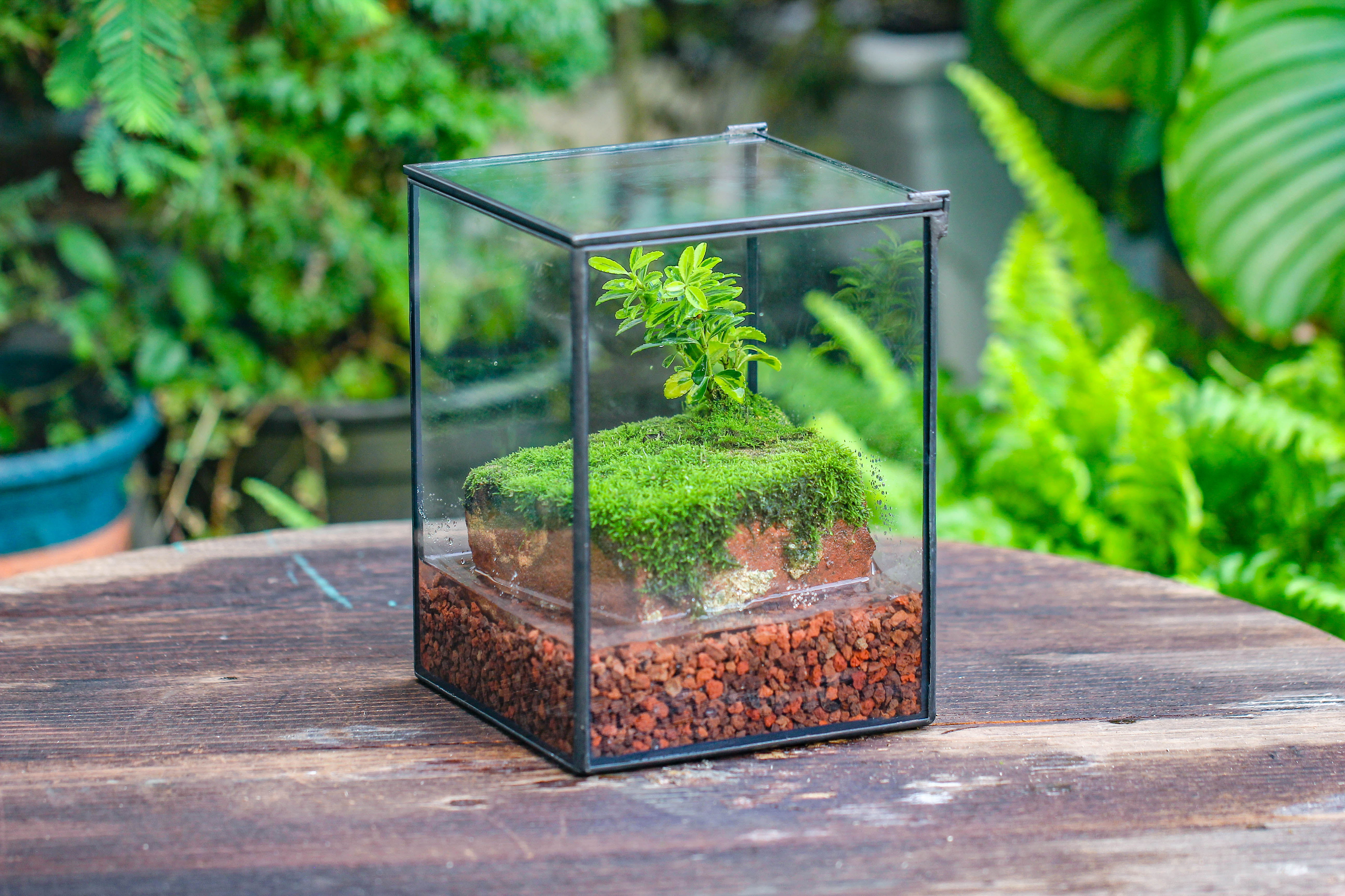 NCYP Watertight Close Geometric Glass Tin Terrarium, for small waterpond, moss landscape, Live Miniature, water pond, miniature - NCYPgarden