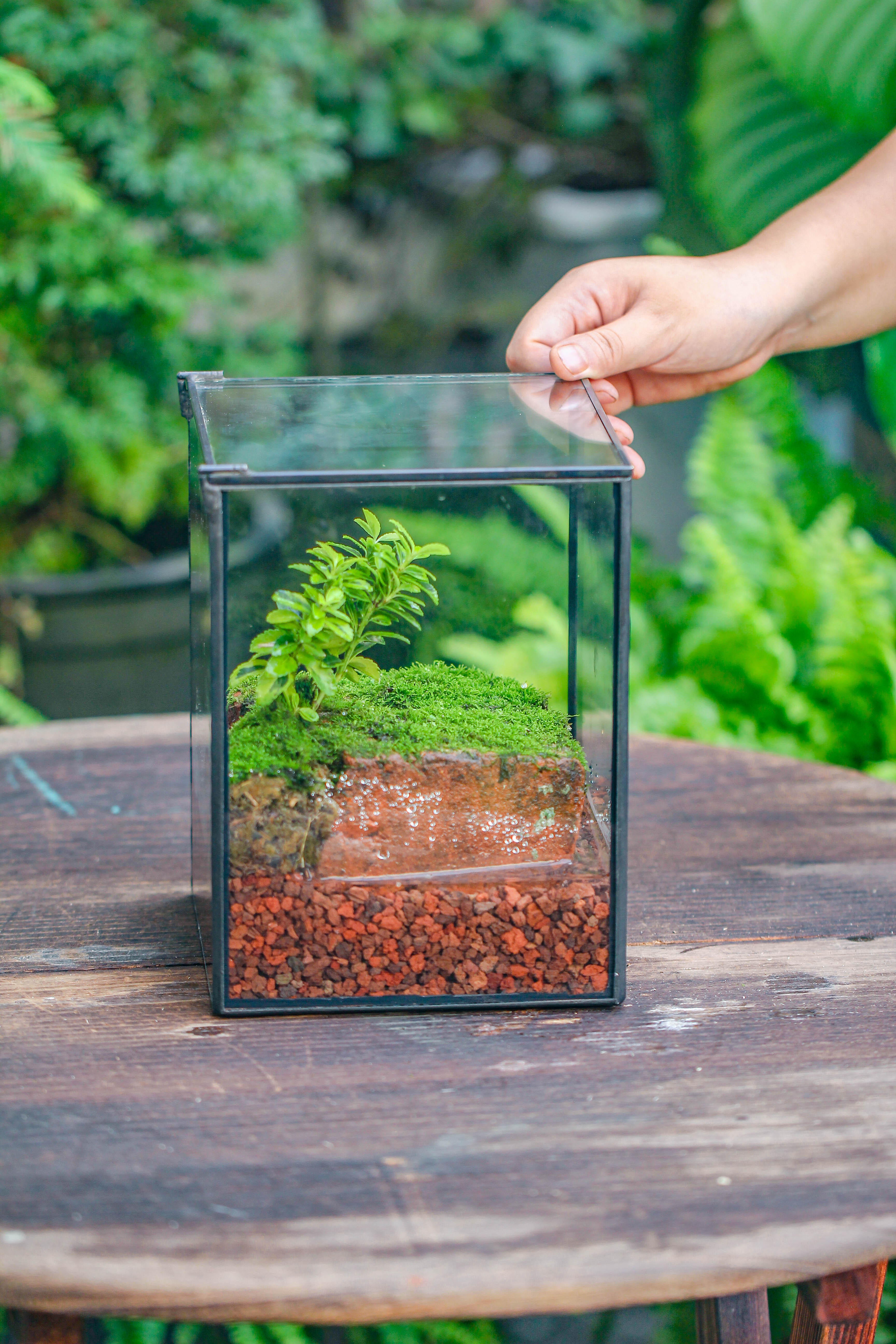 NCYP Watertight Close Geometric Glass Tin Terrarium, for small waterpond, moss landscape, Live Miniature, water pond, miniature - NCYPgarden